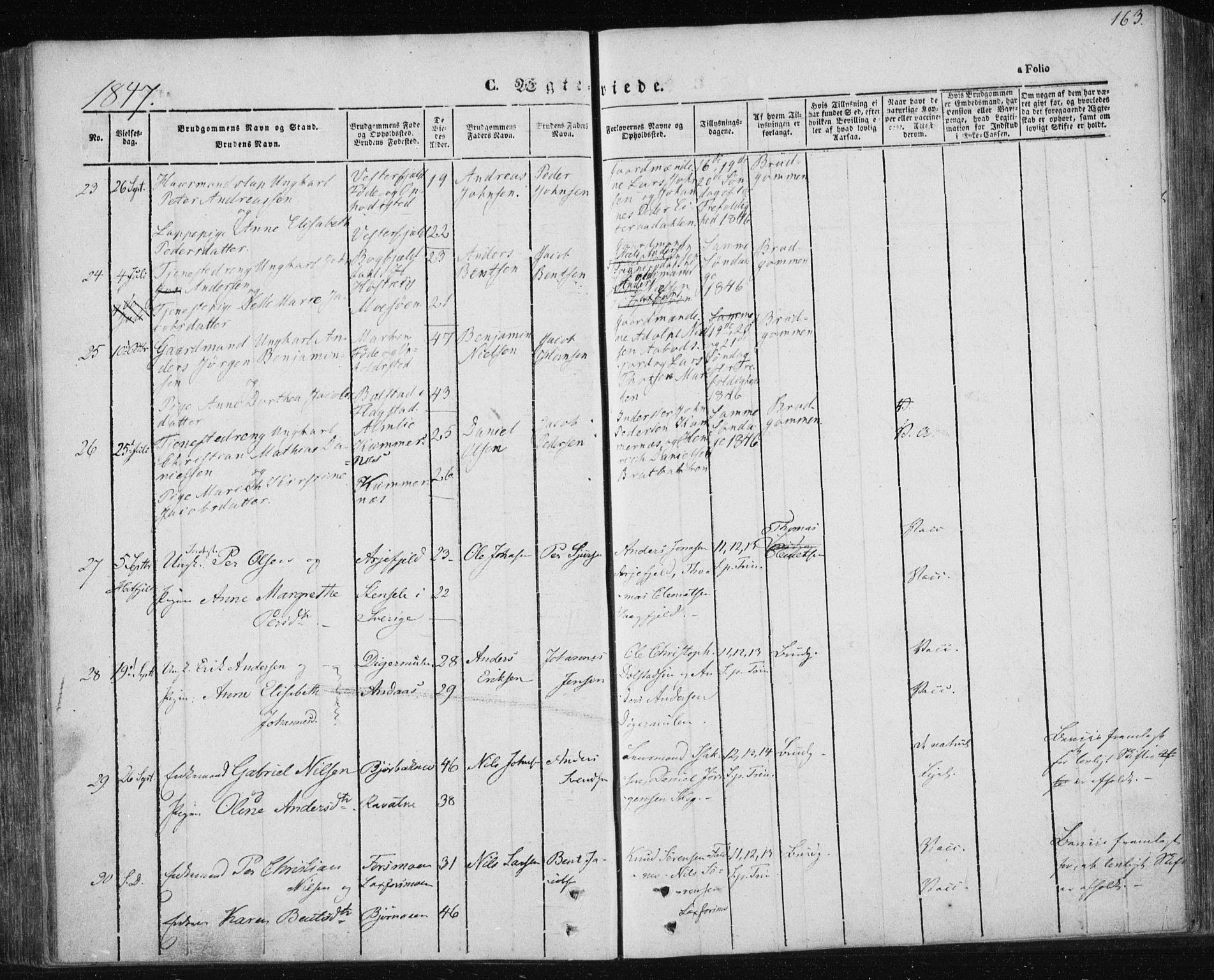 Ministerialprotokoller, klokkerbøker og fødselsregistre - Nordland, AV/SAT-A-1459/820/L0291: Parish register (official) no. 820A12, 1846-1854, p. 163