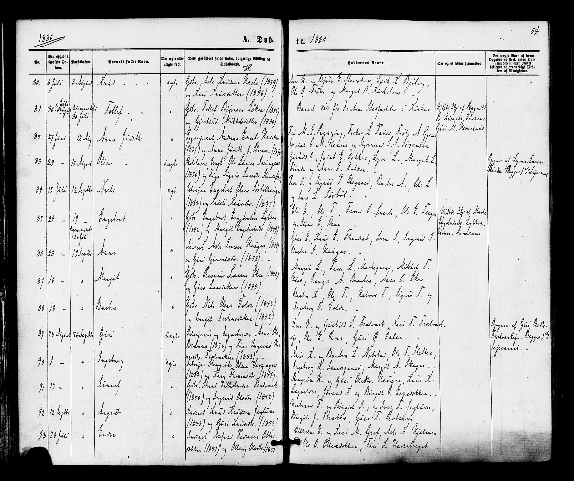 Gol kirkebøker, SAKO/A-226/F/Fa/L0004: Parish register (official) no. I 4, 1876-1886, p. 54