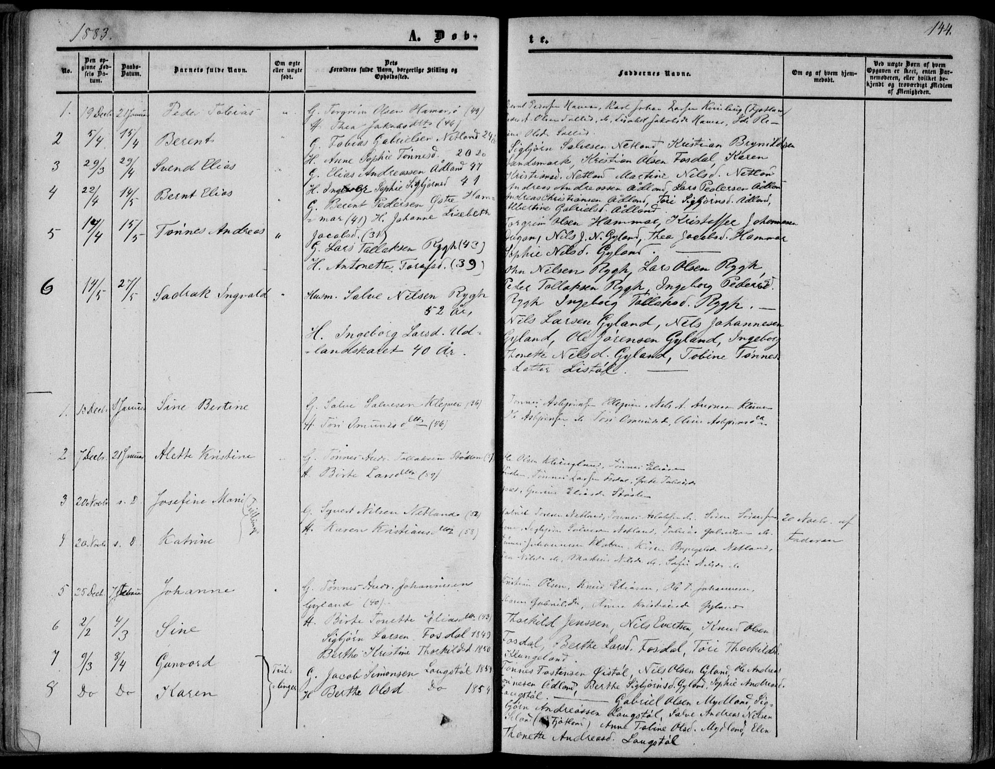 Bakke sokneprestkontor, SAK/1111-0002/F/Fa/Fab/L0002: Parish register (official) no. A 2, 1855-1884, p. 144