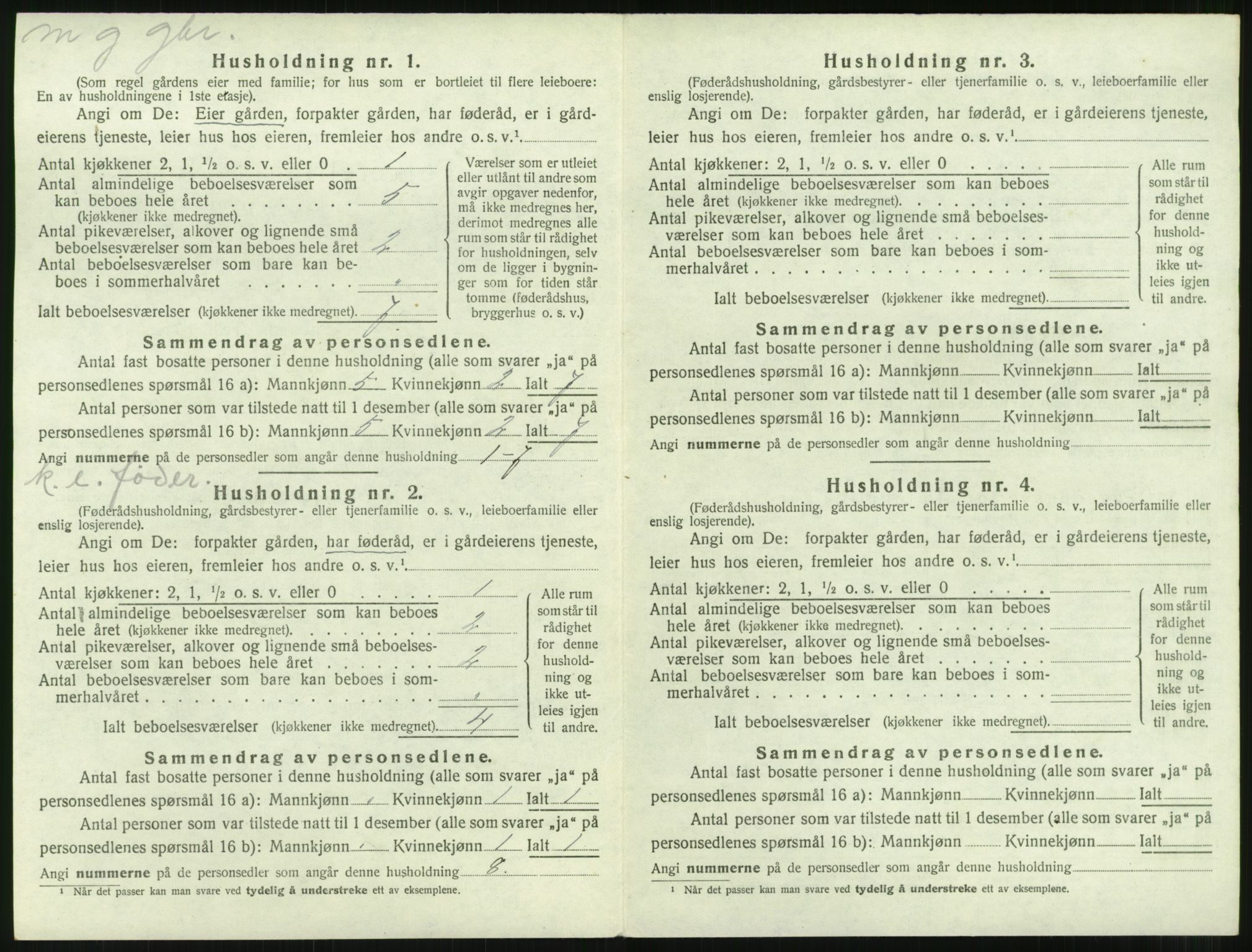 SAT, 1920 census for Nesset, 1920, p. 551