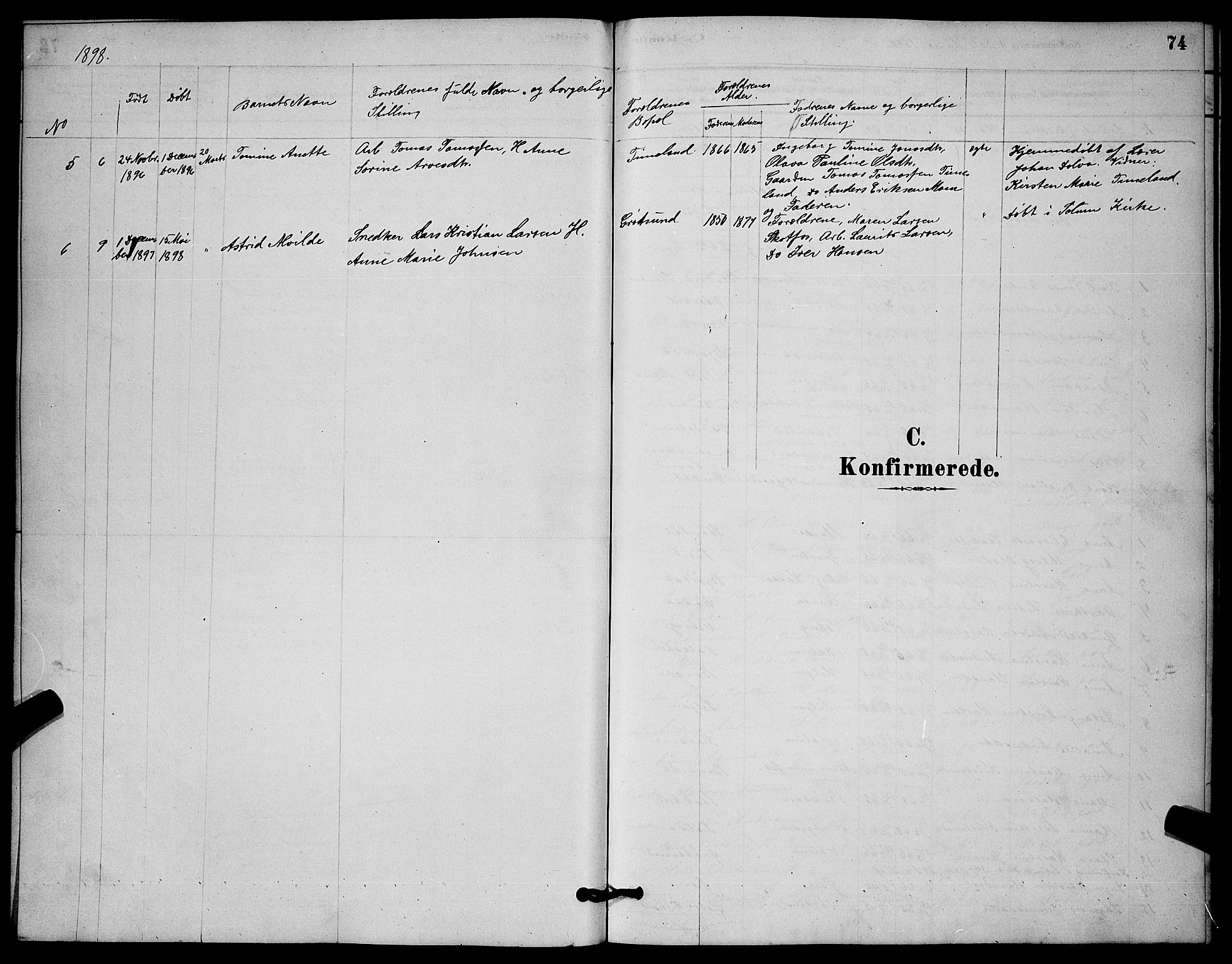 Solum kirkebøker, SAKO/A-306/G/Gb/L0003: Parish register (copy) no. II 3, 1880-1898, p. 74