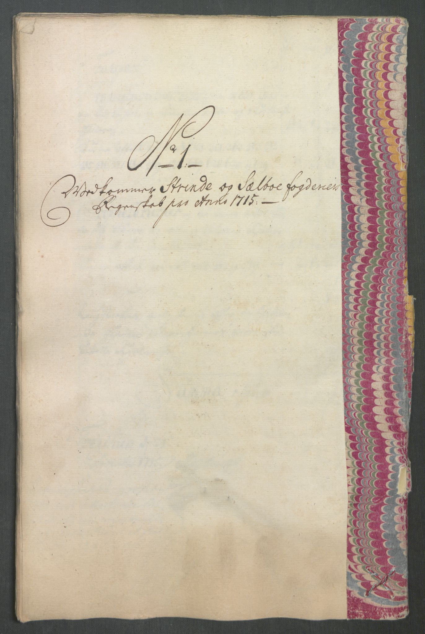 Rentekammeret inntil 1814, Reviderte regnskaper, Fogderegnskap, AV/RA-EA-4092/R61/L4115: Fogderegnskap Strinda og Selbu, 1715-1716, p. 54