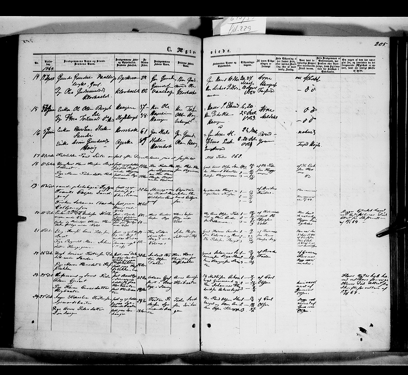 Grue prestekontor, SAH/PREST-036/H/Ha/Haa/L0010: Parish register (official) no. 10, 1864-1873, p. 205