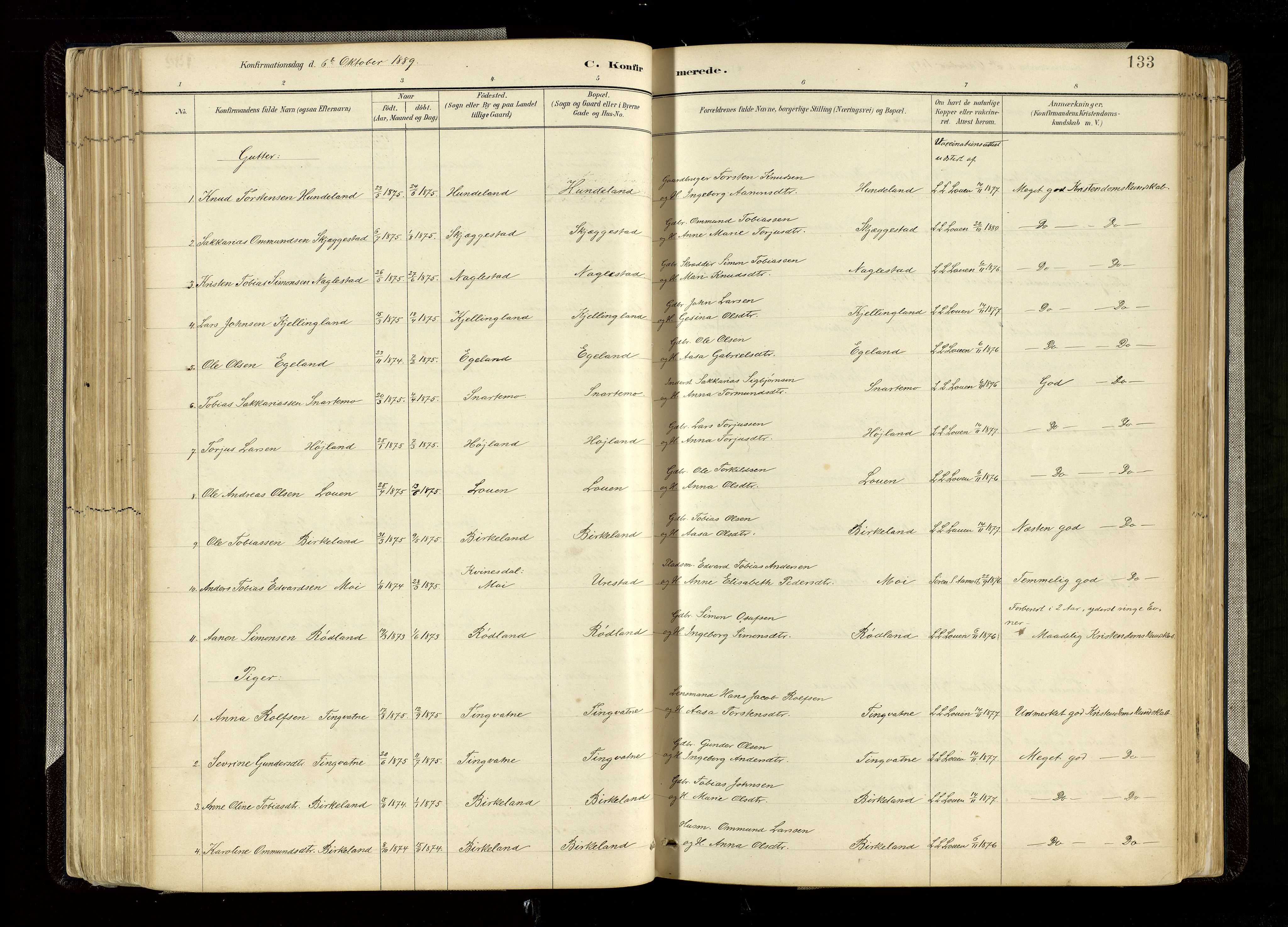 Hægebostad sokneprestkontor, AV/SAK-1111-0024/F/Fa/Faa/L0006: Parish register (official) no. A 6, 1887-1929, p. 133