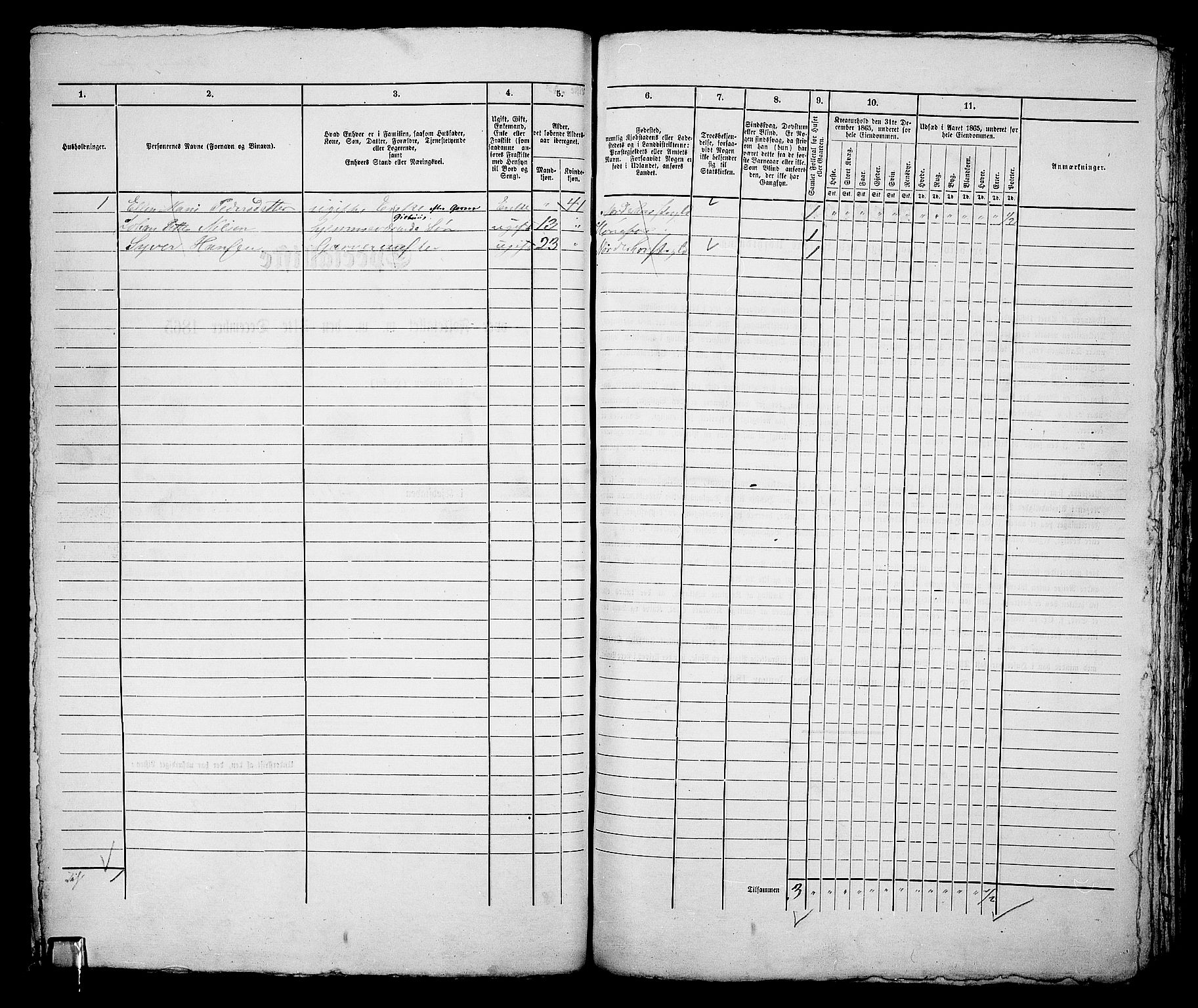 RA, 1865 census for Norderhov/Hønefoss, 1865, p. 198