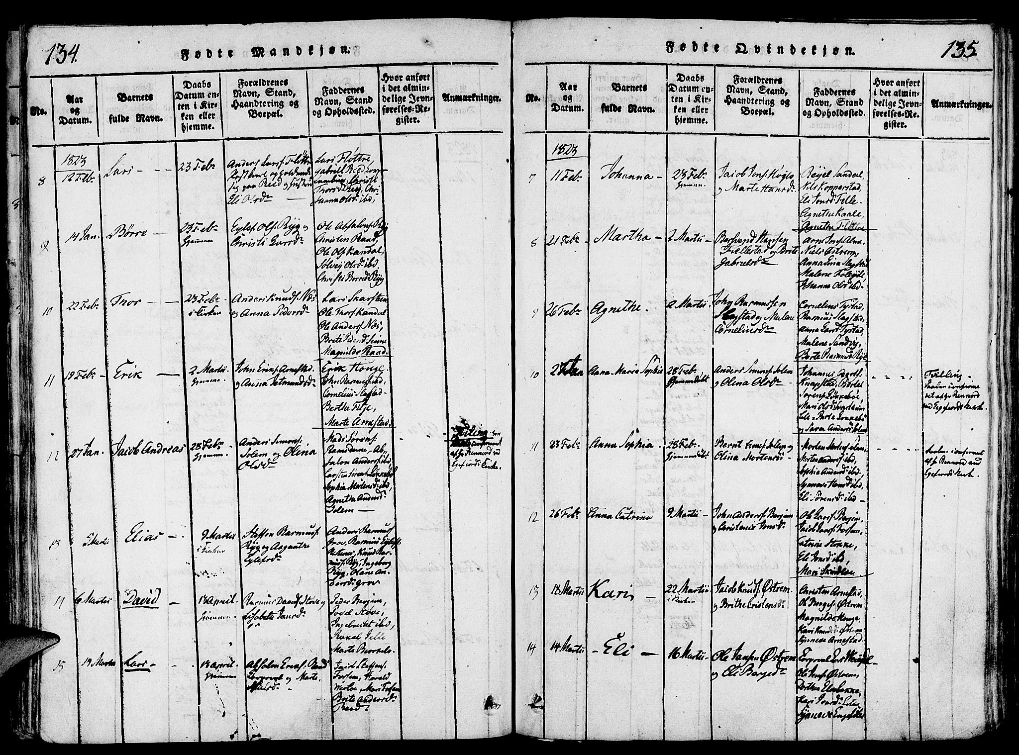 Gloppen sokneprestembete, SAB/A-80101/H/Haa/Haaa/L0006: Parish register (official) no. A 6, 1816-1826, p. 134-135