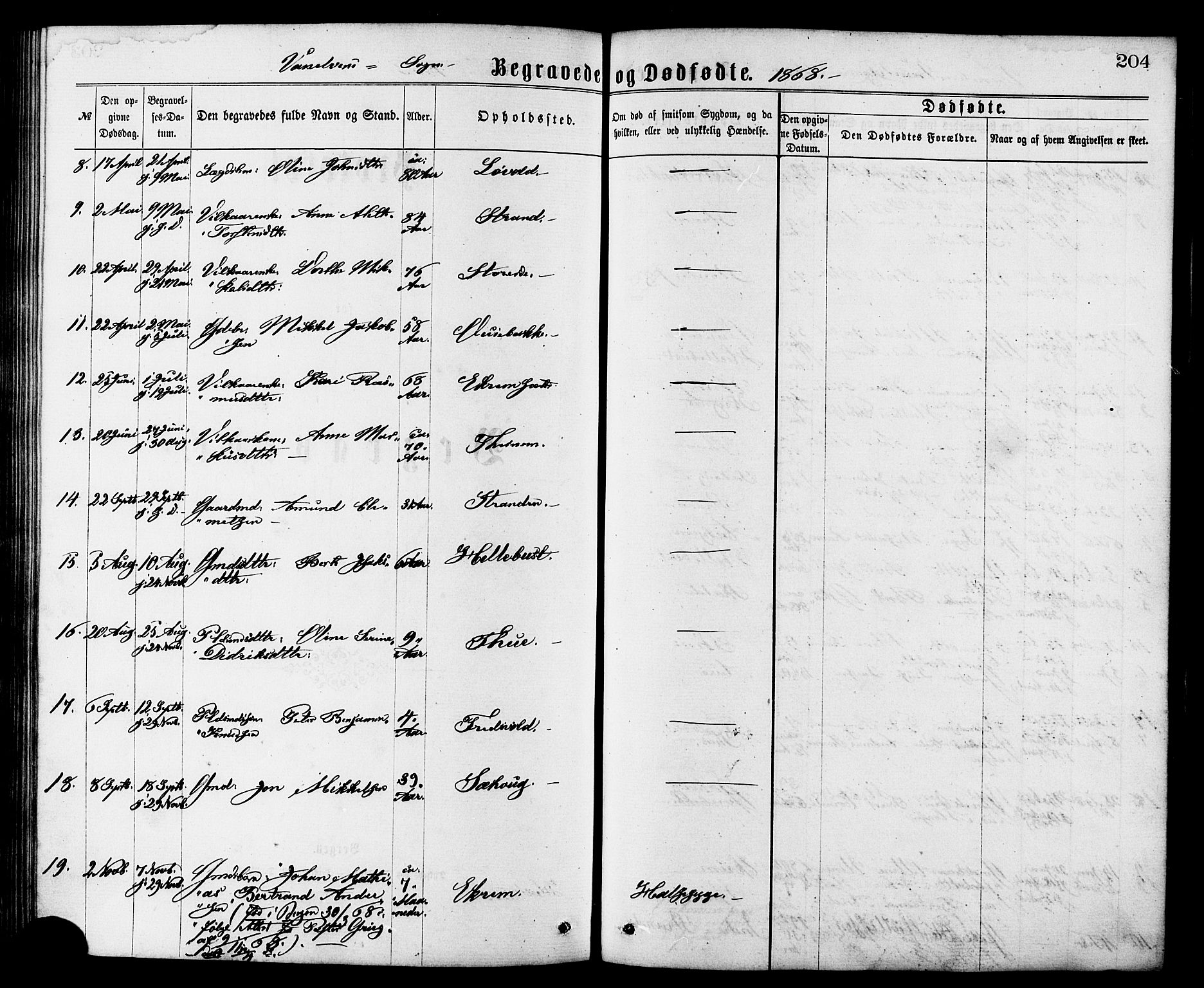 Ministerialprotokoller, klokkerbøker og fødselsregistre - Møre og Romsdal, AV/SAT-A-1454/501/L0007: Parish register (official) no. 501A07, 1868-1884, p. 204