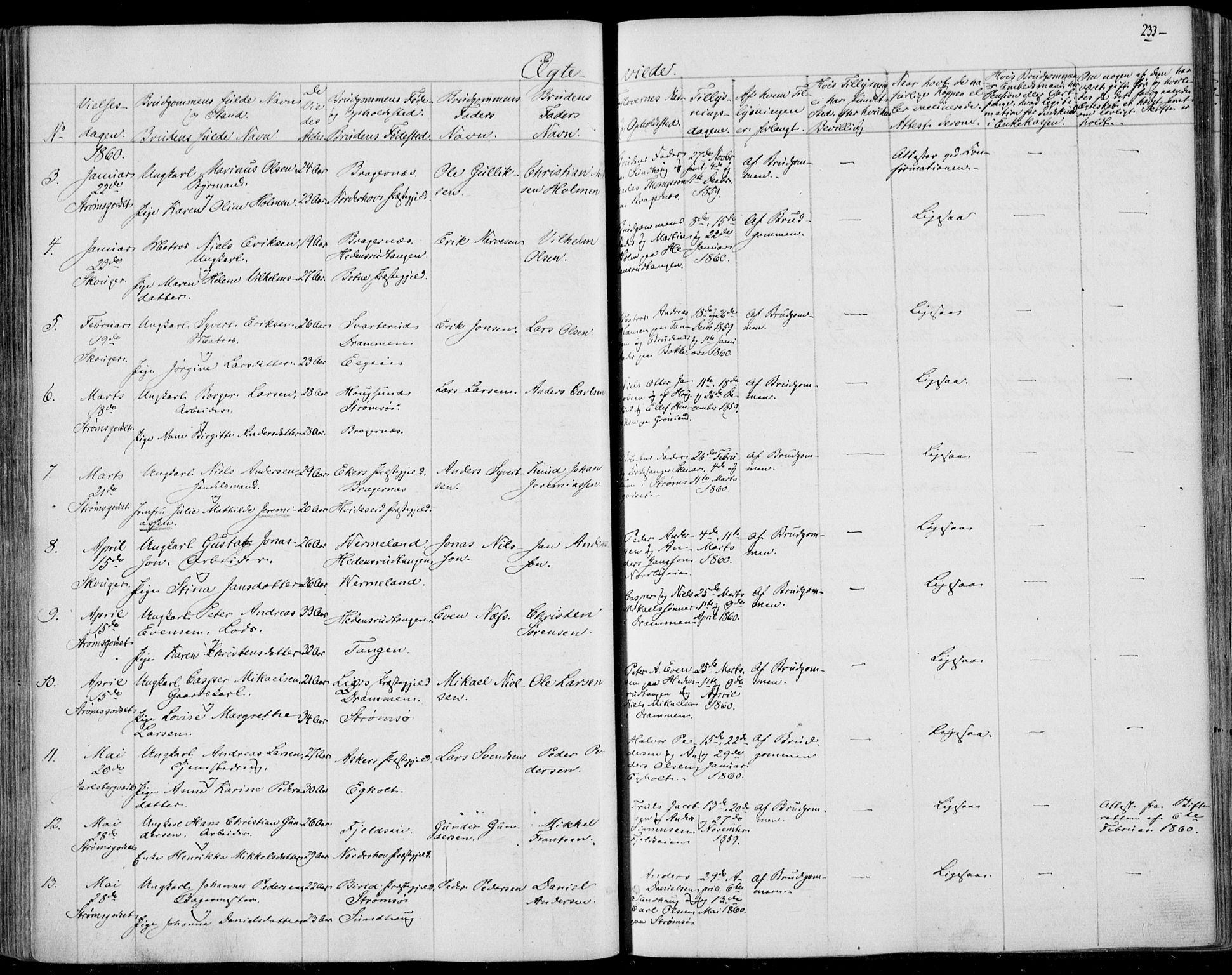 Skoger kirkebøker, SAKO/A-59/F/Fa/L0003: Parish register (official) no. I 3, 1842-1861, p. 233