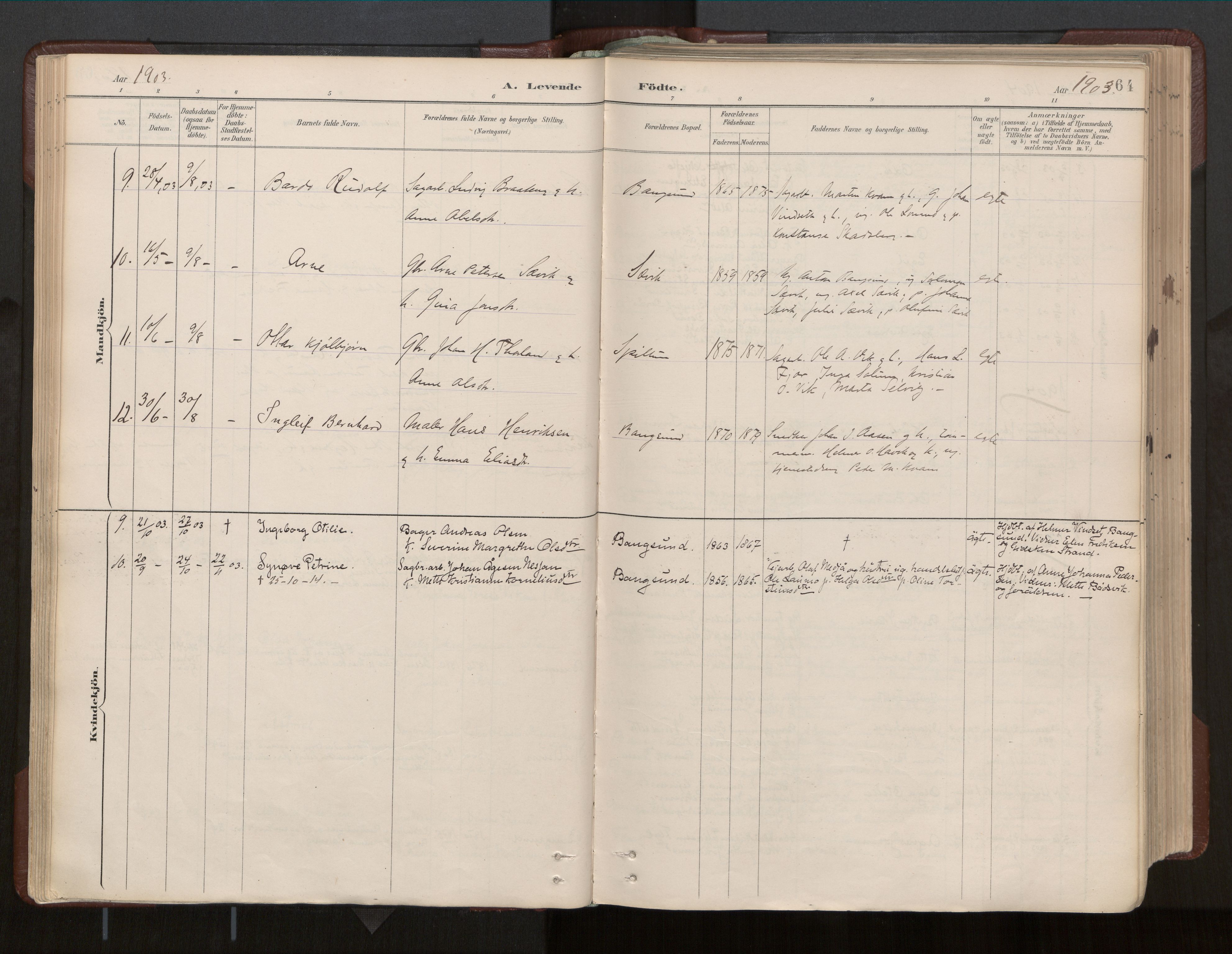 Ministerialprotokoller, klokkerbøker og fødselsregistre - Nord-Trøndelag, SAT/A-1458/770/L0589: Parish register (official) no. 770A03, 1887-1929, p. 64