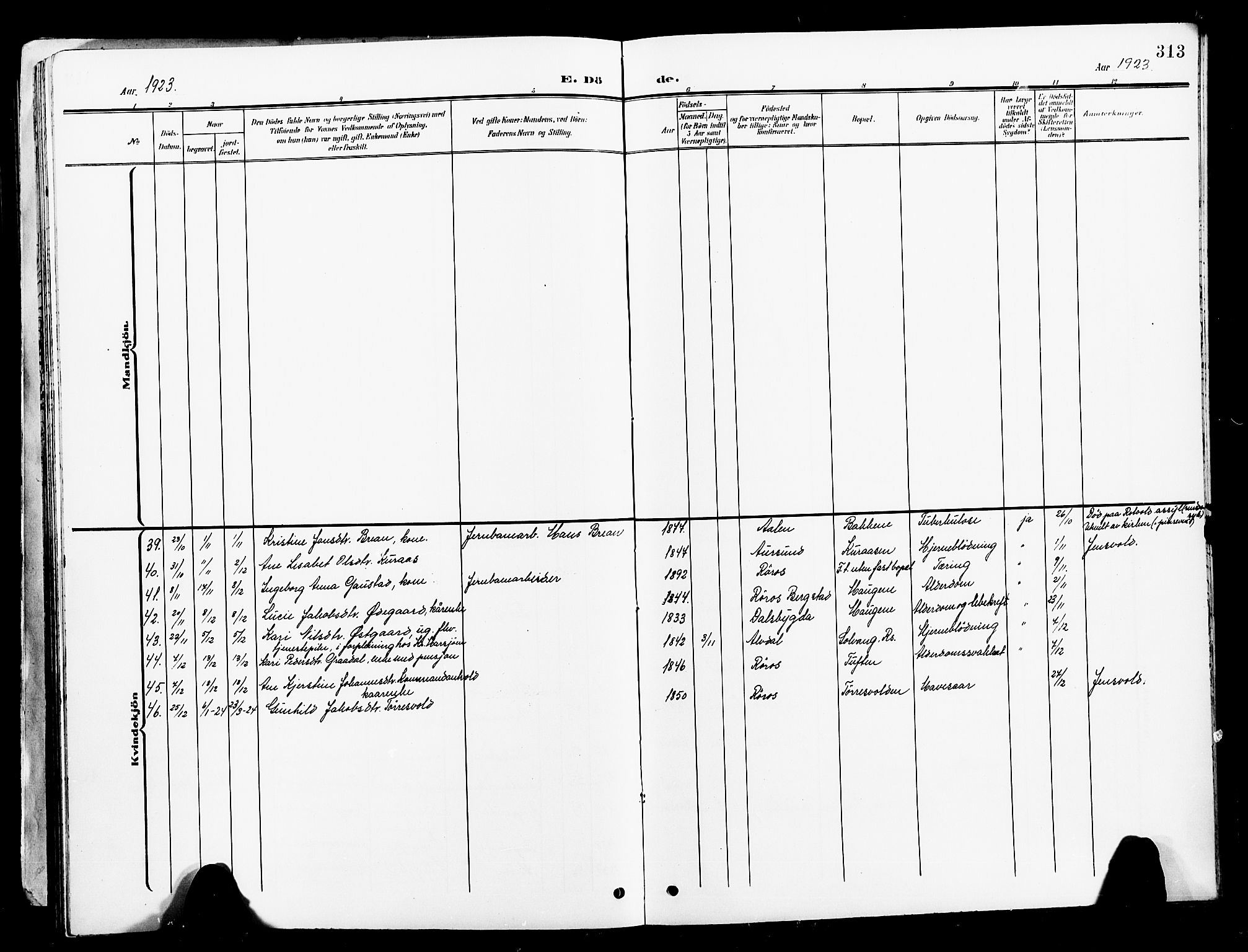 Ministerialprotokoller, klokkerbøker og fødselsregistre - Sør-Trøndelag, SAT/A-1456/681/L0942: Parish register (copy) no. 681C06, 1906-1925, p. 313