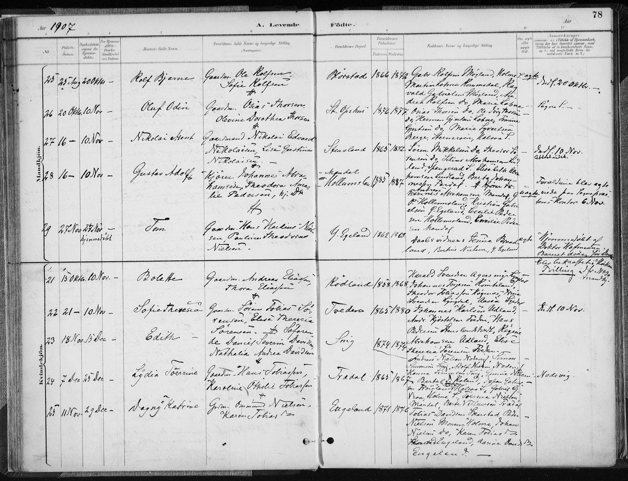 Sør-Audnedal sokneprestkontor, AV/SAK-1111-0039/F/Fa/Fab/L0010: Parish register (official) no. A 10, 1892-1913, p. 78