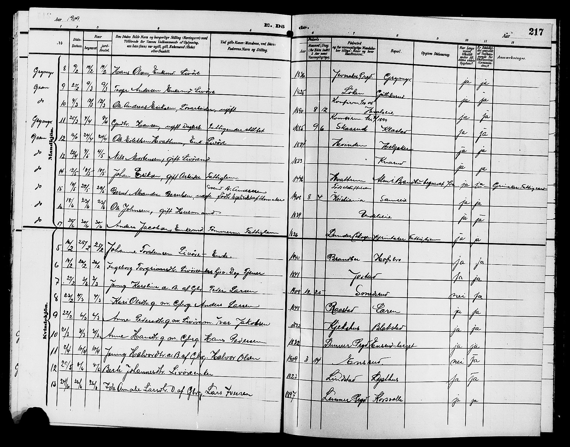 Gran prestekontor, SAH/PREST-112/H/Ha/Hab/L0006: Parish register (copy) no. 6, 1901-1911, p. 217