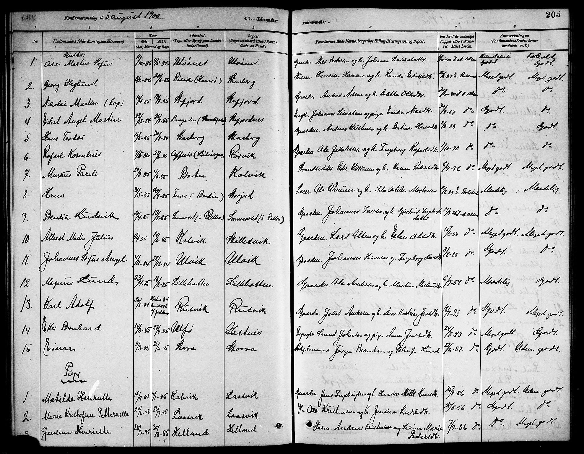 Ministerialprotokoller, klokkerbøker og fødselsregistre - Nordland, AV/SAT-A-1459/861/L0876: Parish register (copy) no. 861C02, 1887-1903, p. 205