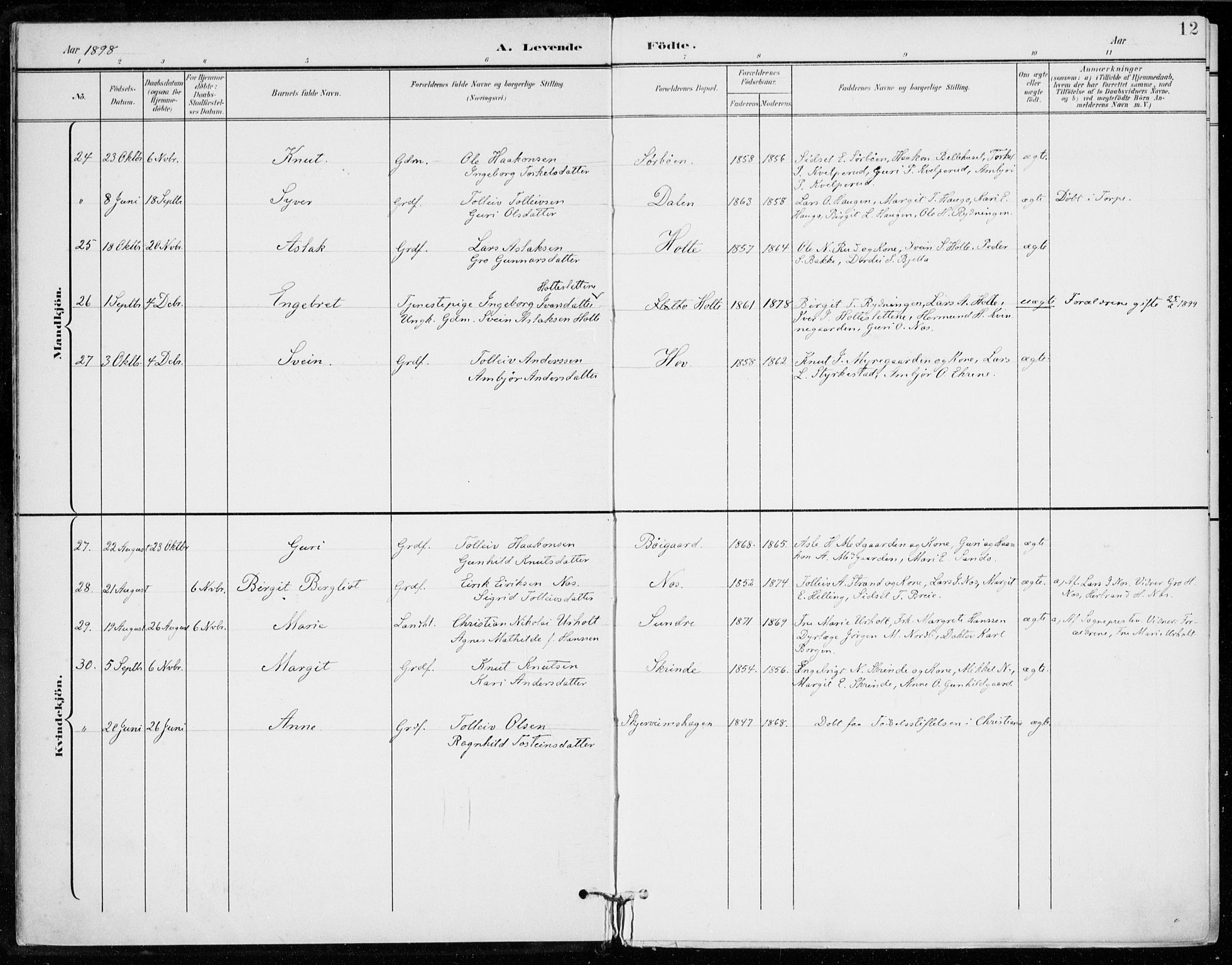 Ål kirkebøker, AV/SAKO-A-249/F/Fa/L0009: Parish register (official) no. I 9, 1897-1915, p. 12