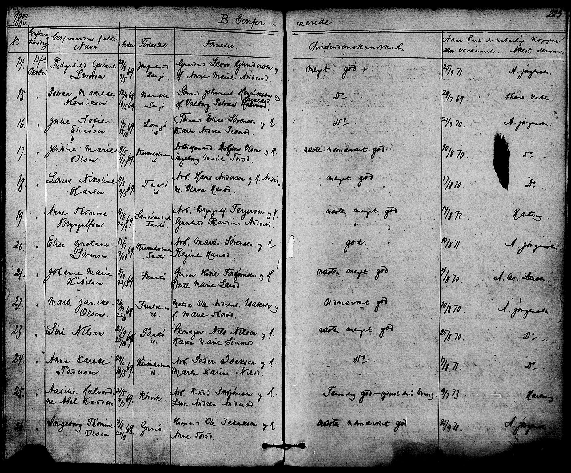 Skåtøy kirkebøker, AV/SAKO-A-304/F/Fa/L0001: Parish register (official) no. I 1, 1874-1883, p. 225