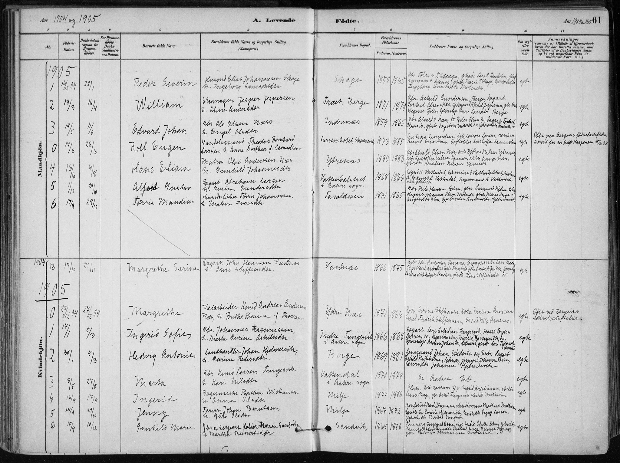 Skånevik sokneprestembete, SAB/A-77801/H/Haa: Parish register (official) no. B 1, 1879-1914, p. 61