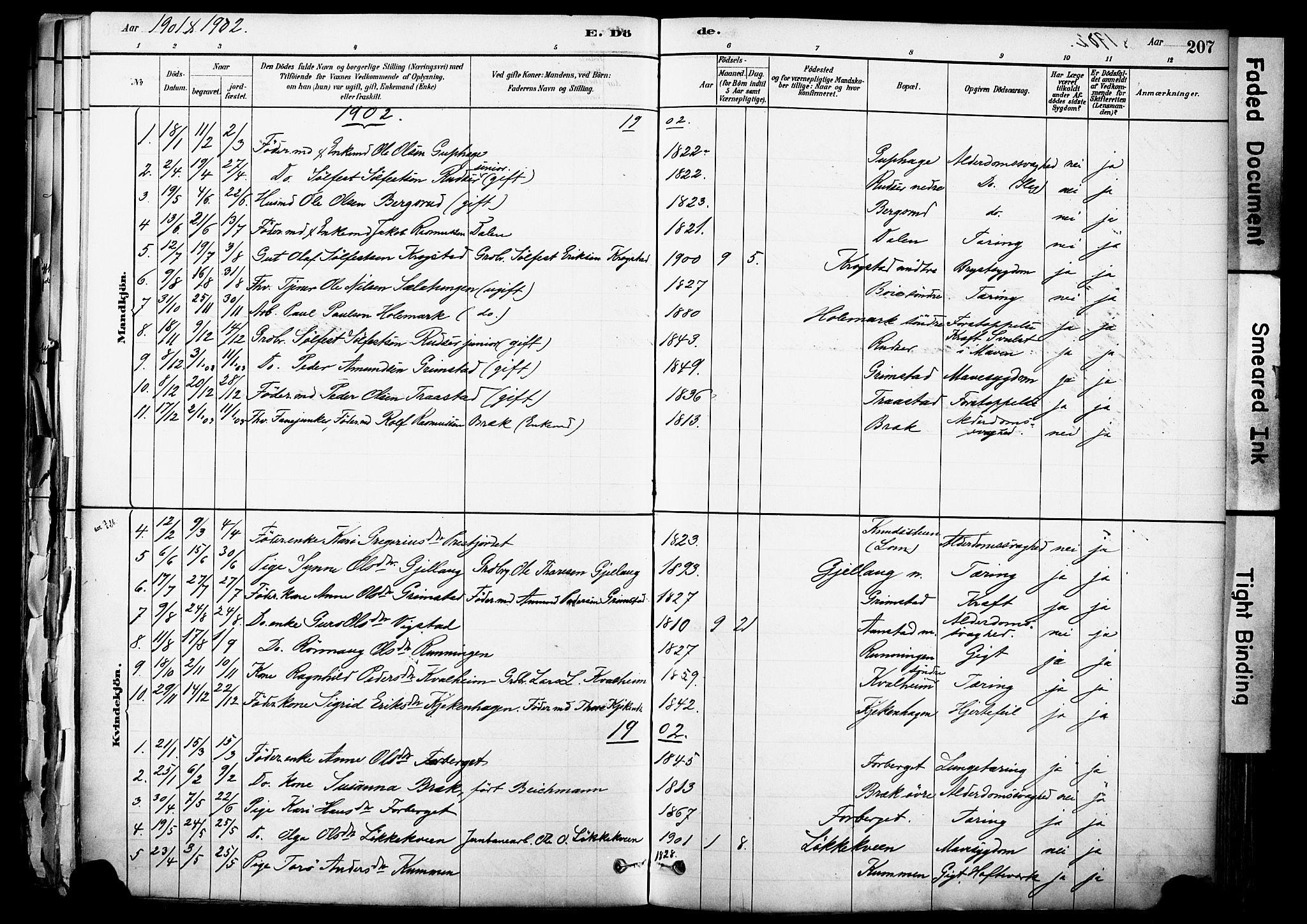 Skjåk prestekontor, SAH/PREST-072/H/Ha/Haa/L0003: Parish register (official) no. 3, 1880-1907, p. 207