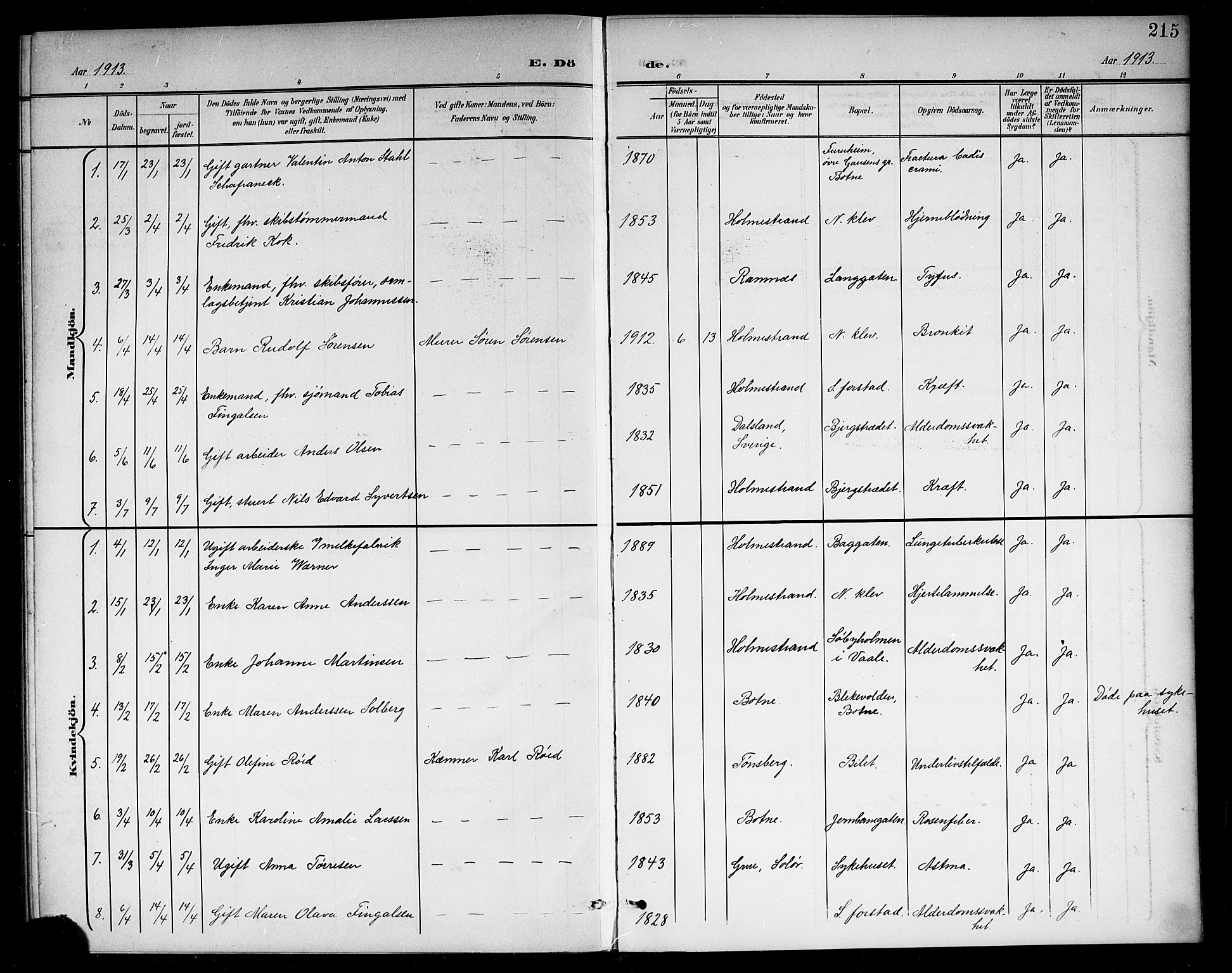 Holmestrand kirkebøker, AV/SAKO-A-346/G/Ga/L0006: Parish register (copy) no. 6, 1901-1923, p. 215