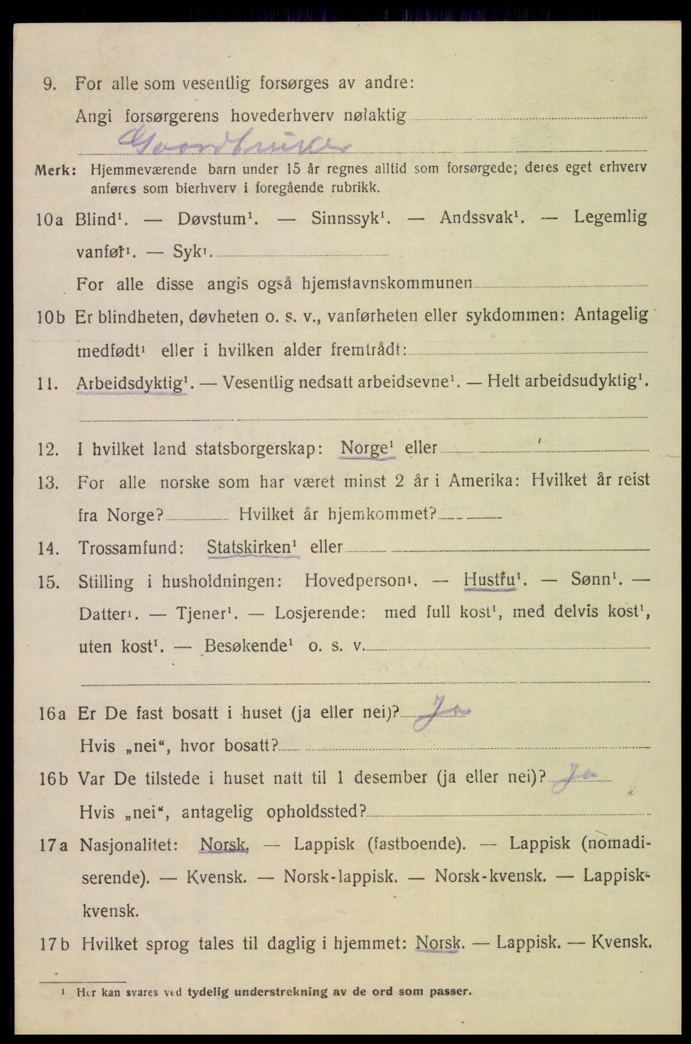 SAT, 1920 census for Lødingen, 1920, p. 1028