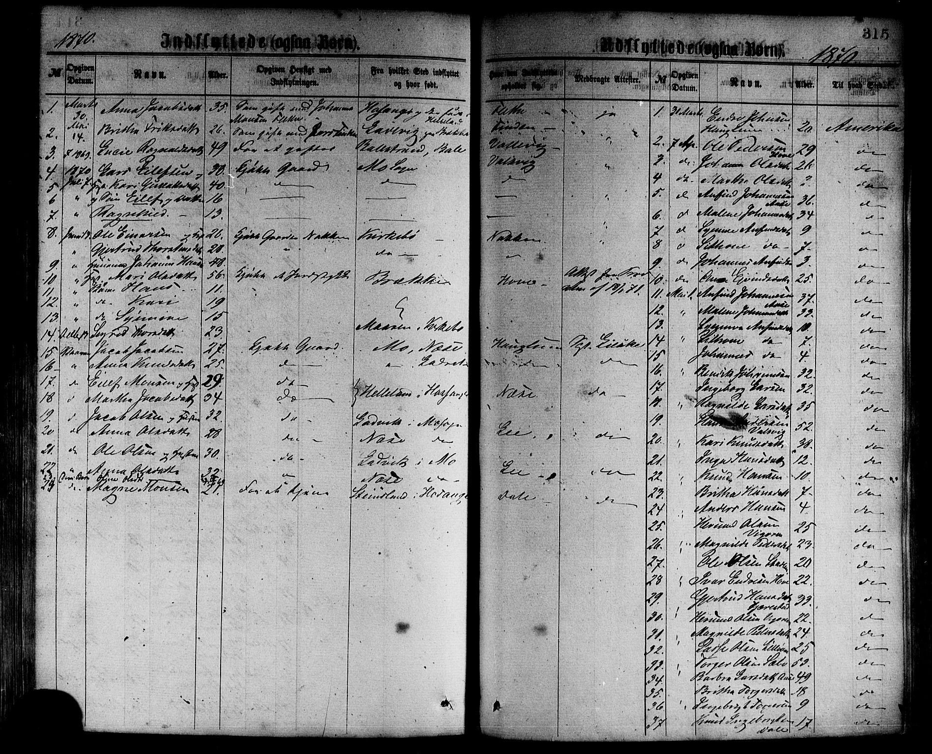 Vik sokneprestembete, AV/SAB-A-81501/H/Haa/Haaa/L0009: Parish register (official) no. A 9, 1866-1877, p. 315