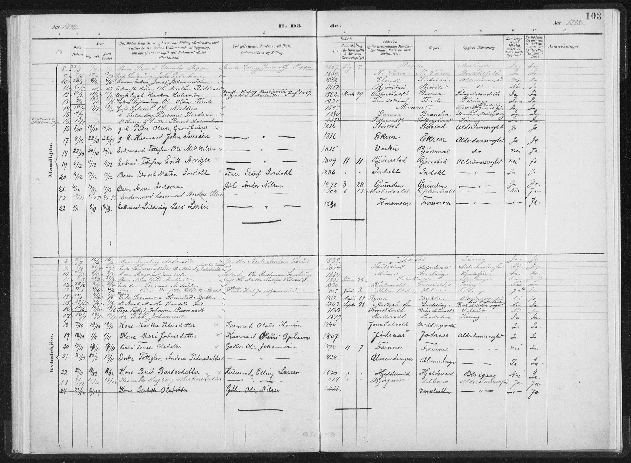 Ministerialprotokoller, klokkerbøker og fødselsregistre - Nord-Trøndelag, SAT/A-1458/724/L0263: Parish register (official) no. 724A01, 1891-1907, p. 103