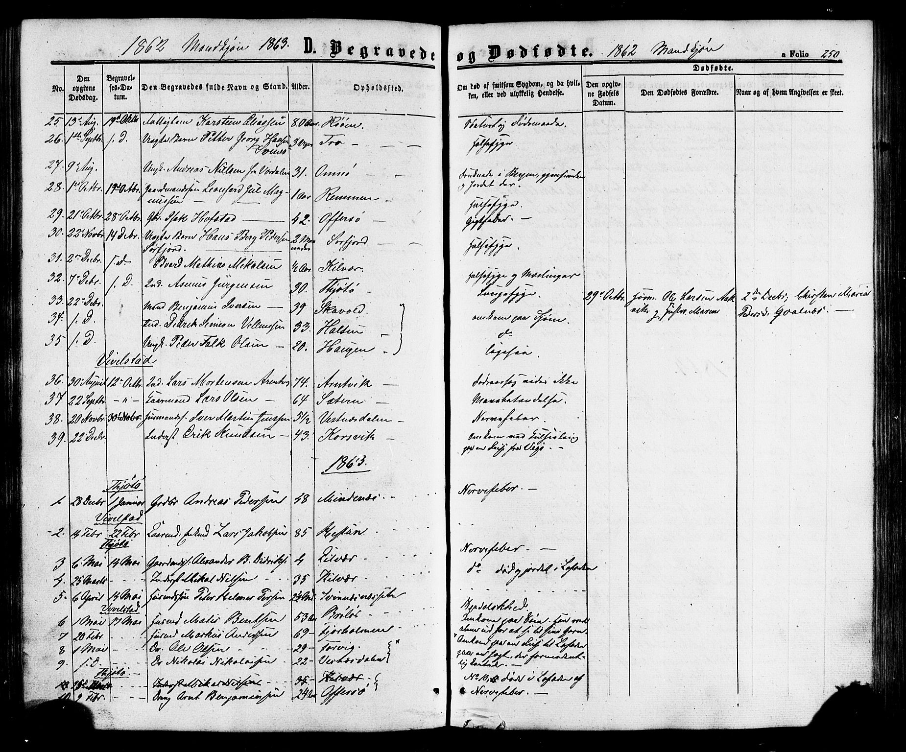 Ministerialprotokoller, klokkerbøker og fødselsregistre - Nordland, AV/SAT-A-1459/817/L0262: Parish register (official) no. 817A03/ 1, 1862-1877, p. 250