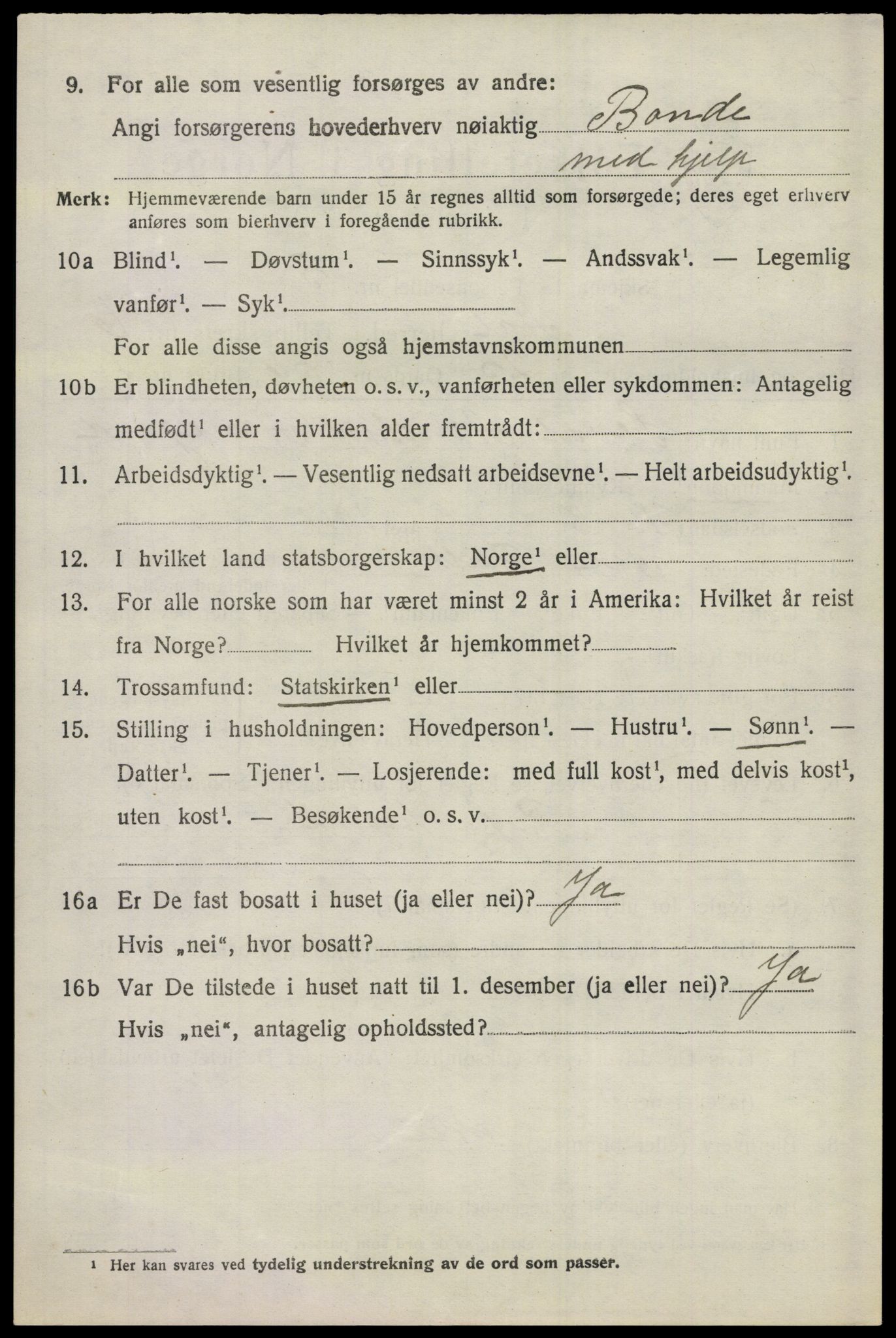 SAKO, 1920 census for Ål, 1920, p. 4619