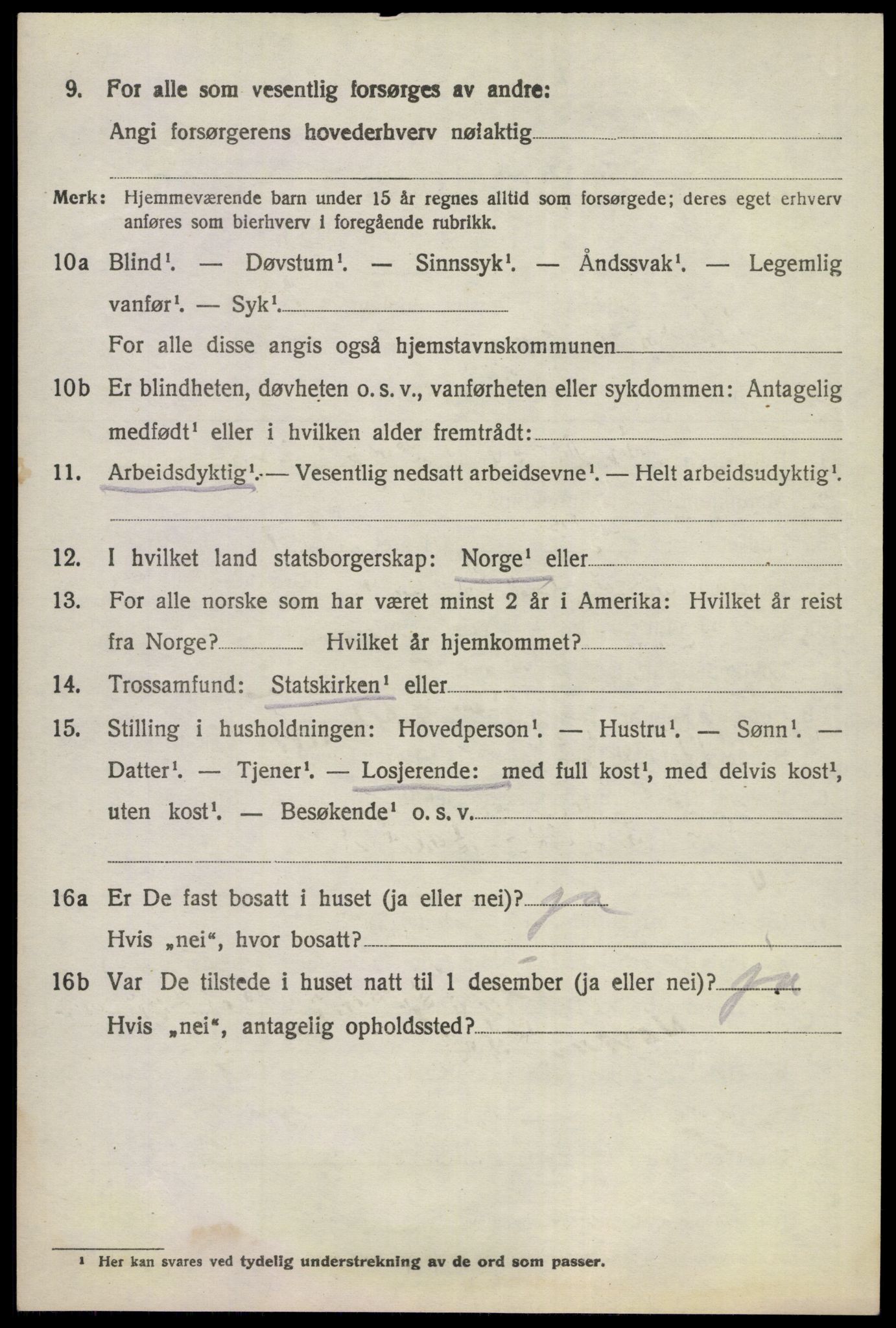 SAKO, 1920 census for Norderhov, 1920, p. 9994