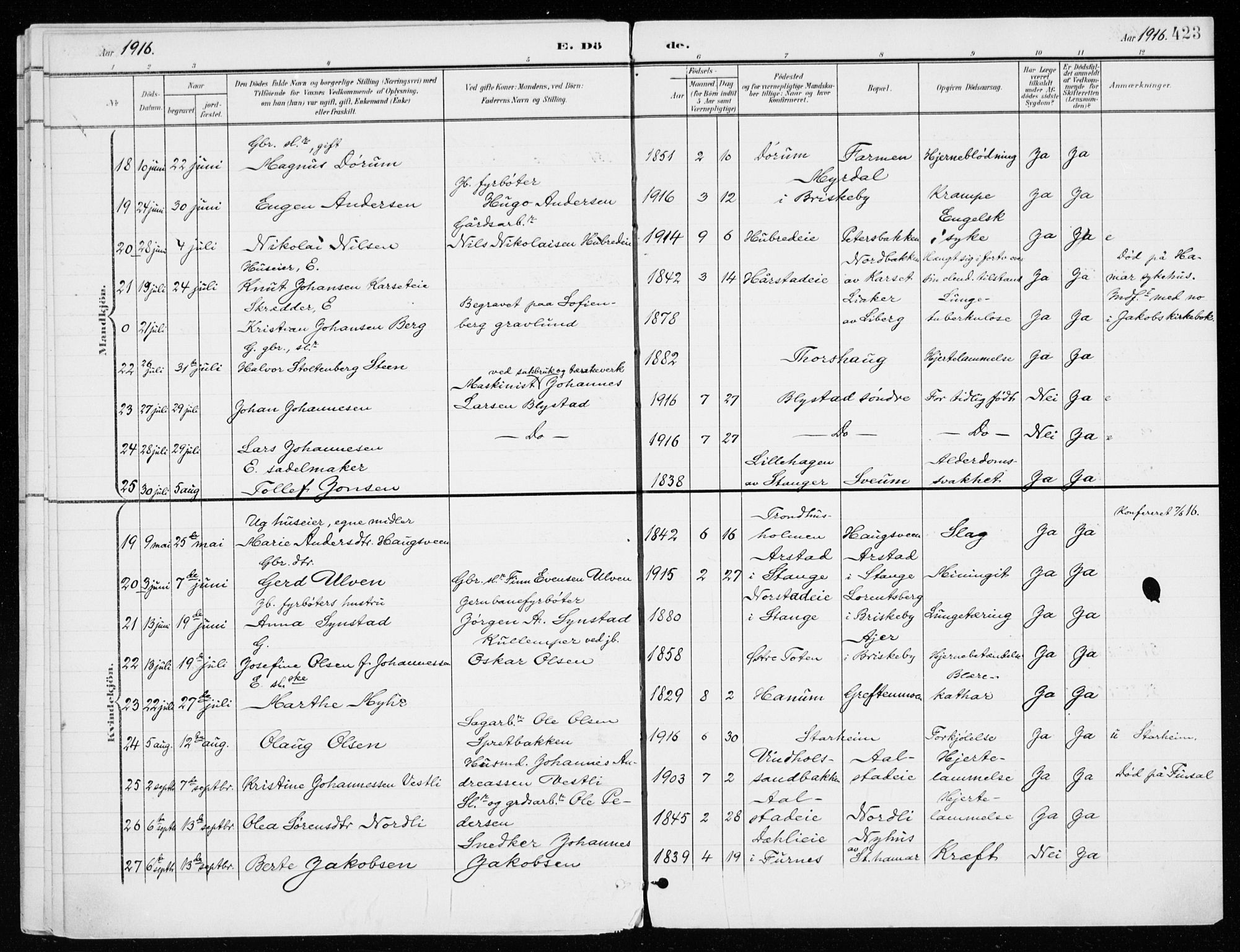 Vang prestekontor, Hedmark, SAH/PREST-008/H/Ha/Haa/L0021: Parish register (official) no. 21, 1902-1917, p. 423