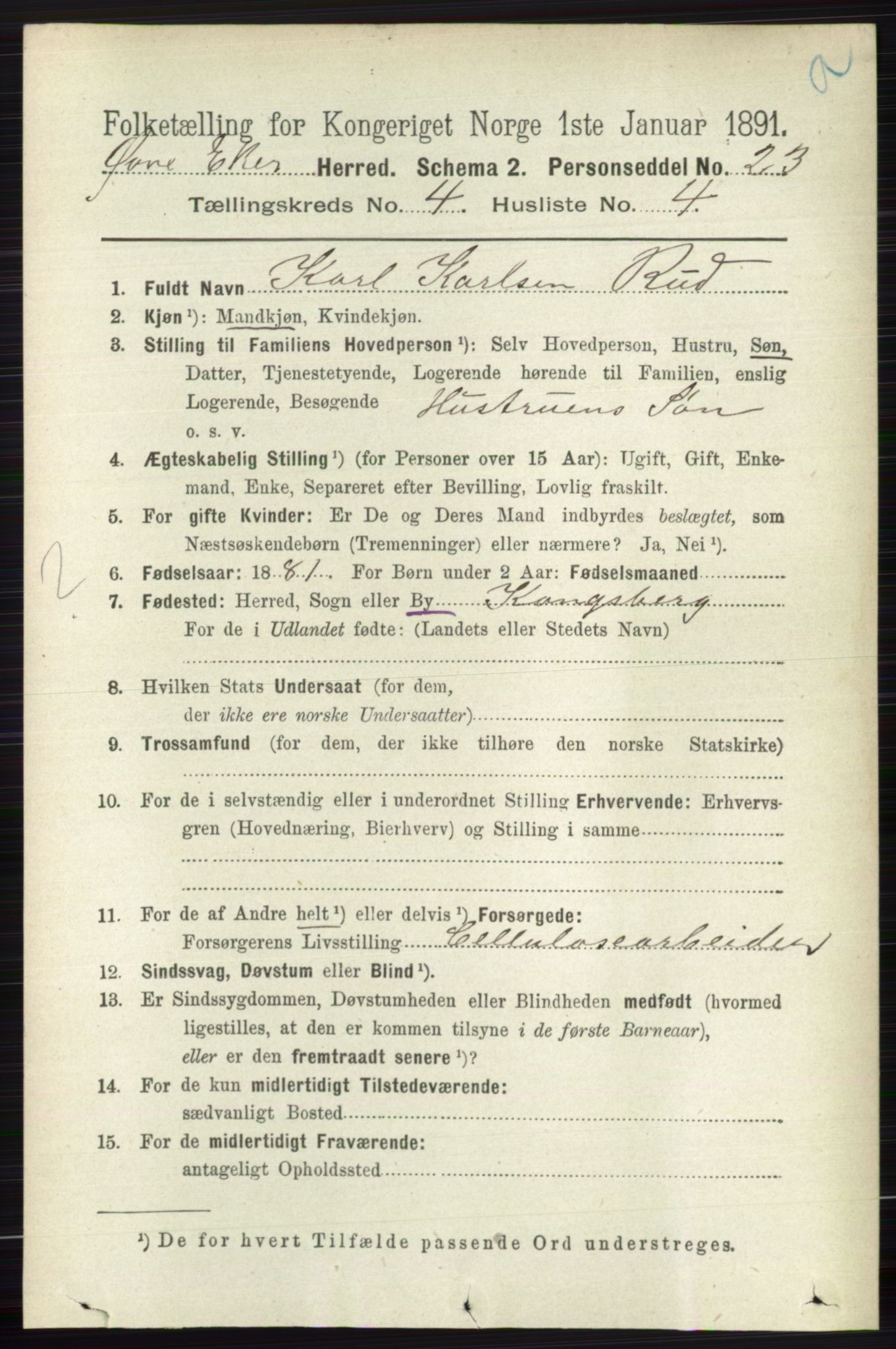 RA, 1891 census for 0624 Øvre Eiker, 1891, p. 1521