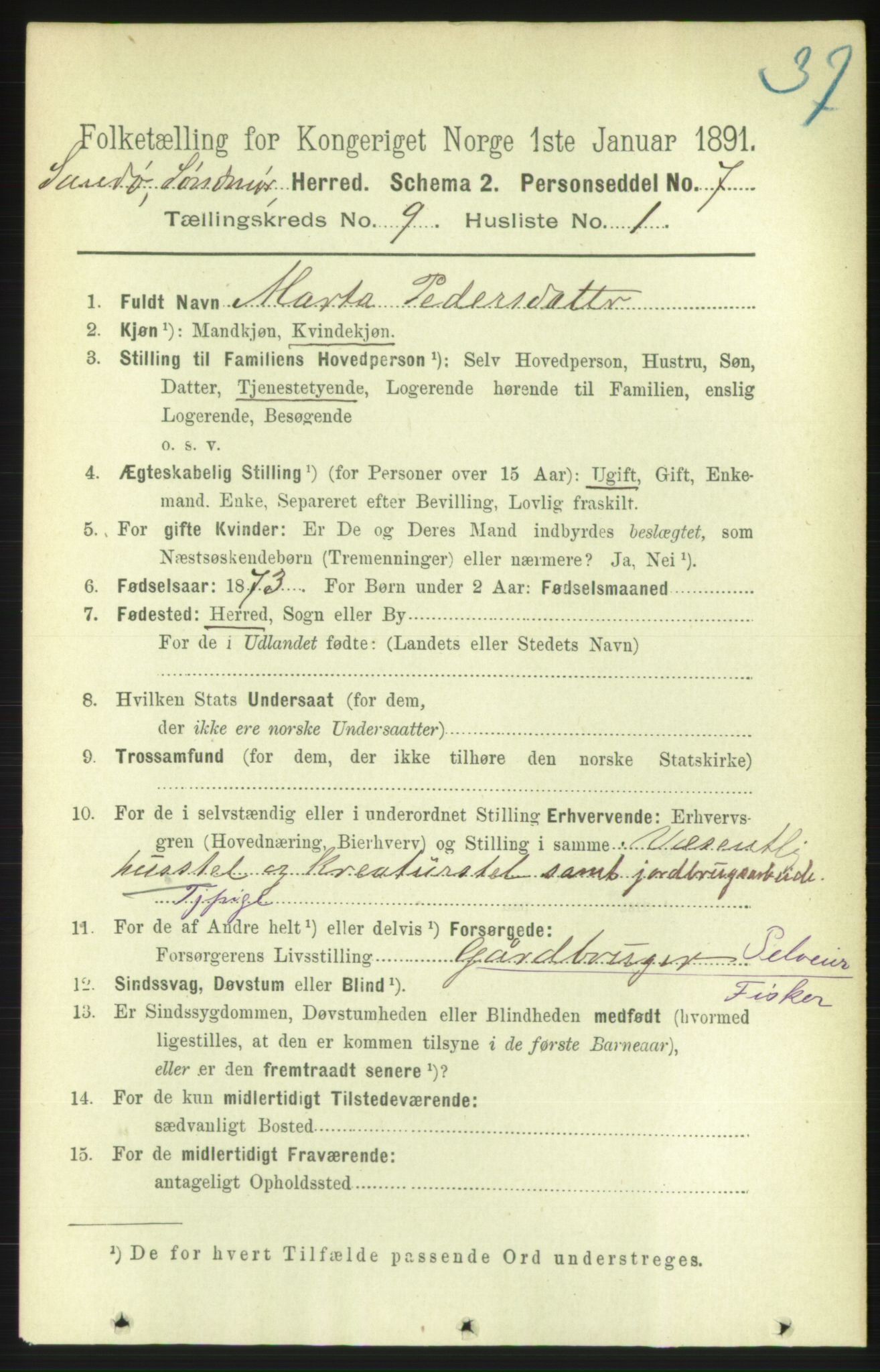 RA, 1891 census for 1514 Sande, 1891, p. 1496