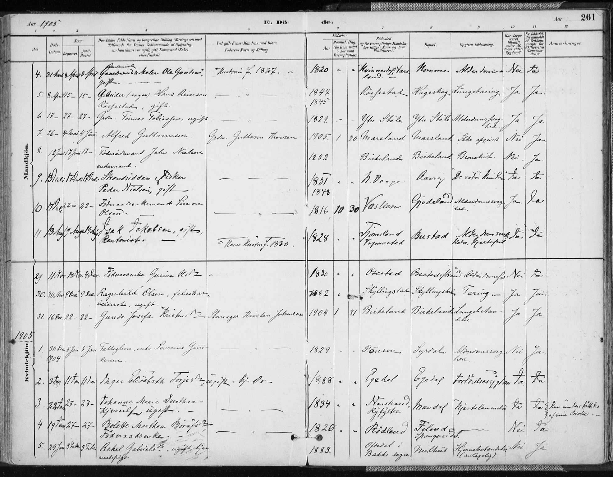 Sør-Audnedal sokneprestkontor, AV/SAK-1111-0039/F/Fa/Fab/L0010: Parish register (official) no. A 10, 1892-1913, p. 261