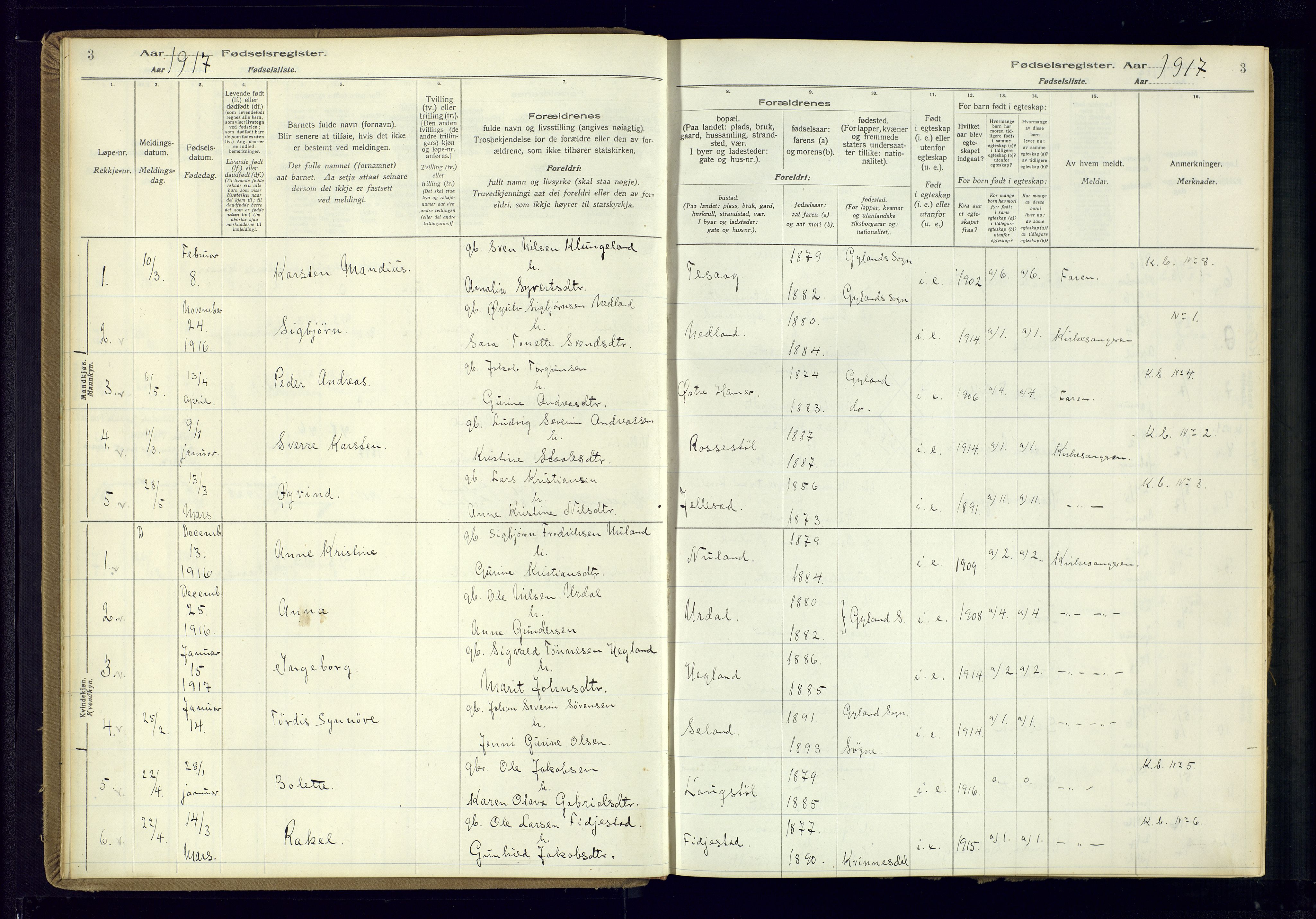 Bakke sokneprestkontor, AV/SAK-1111-0002/J/Ja/L0002: Birth register no. A-VI-19, 1916-1982, p. 3