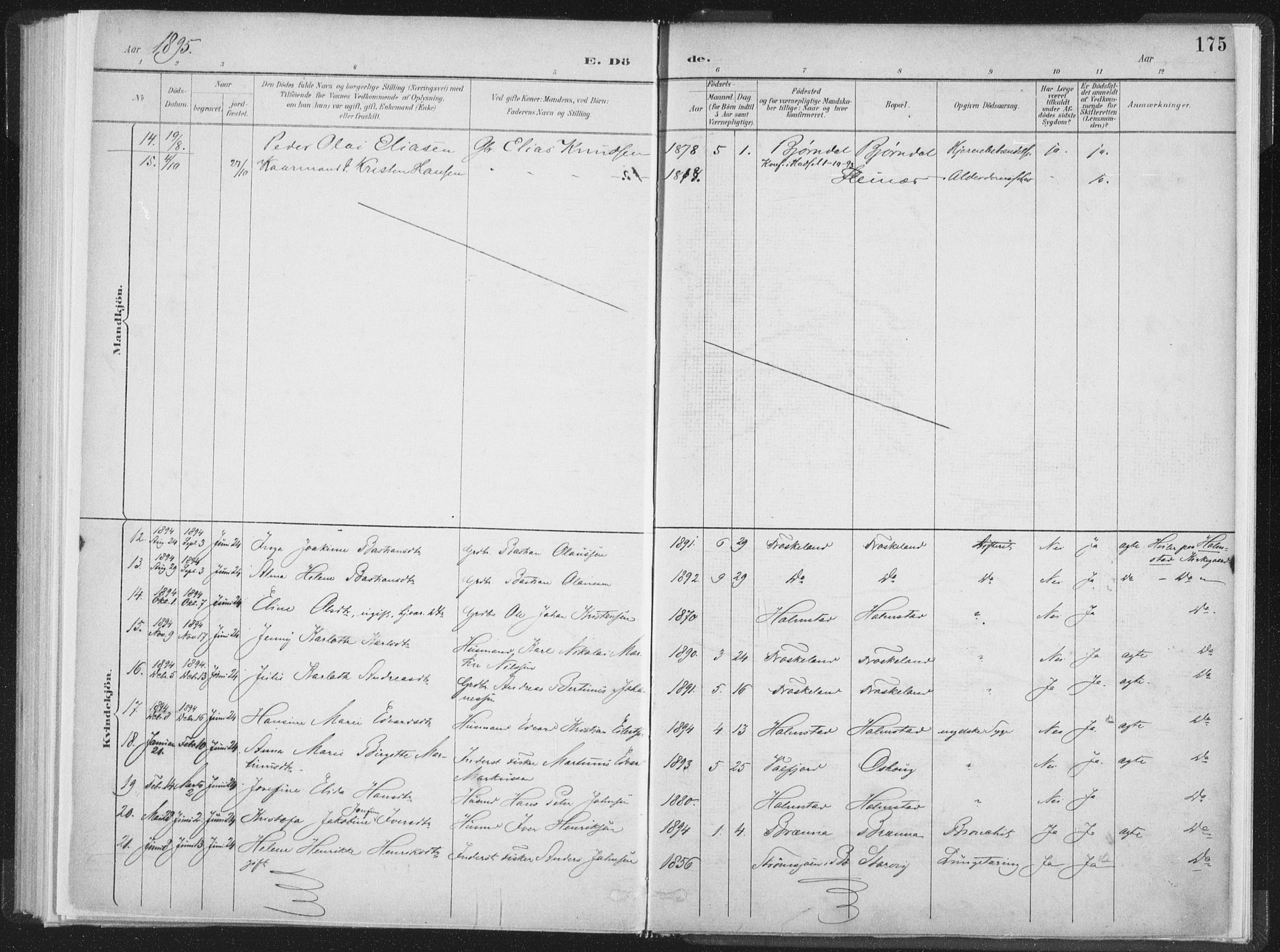 Ministerialprotokoller, klokkerbøker og fødselsregistre - Nordland, SAT/A-1459/890/L1286: Parish register (official) no. 890A01, 1882-1902, p. 175