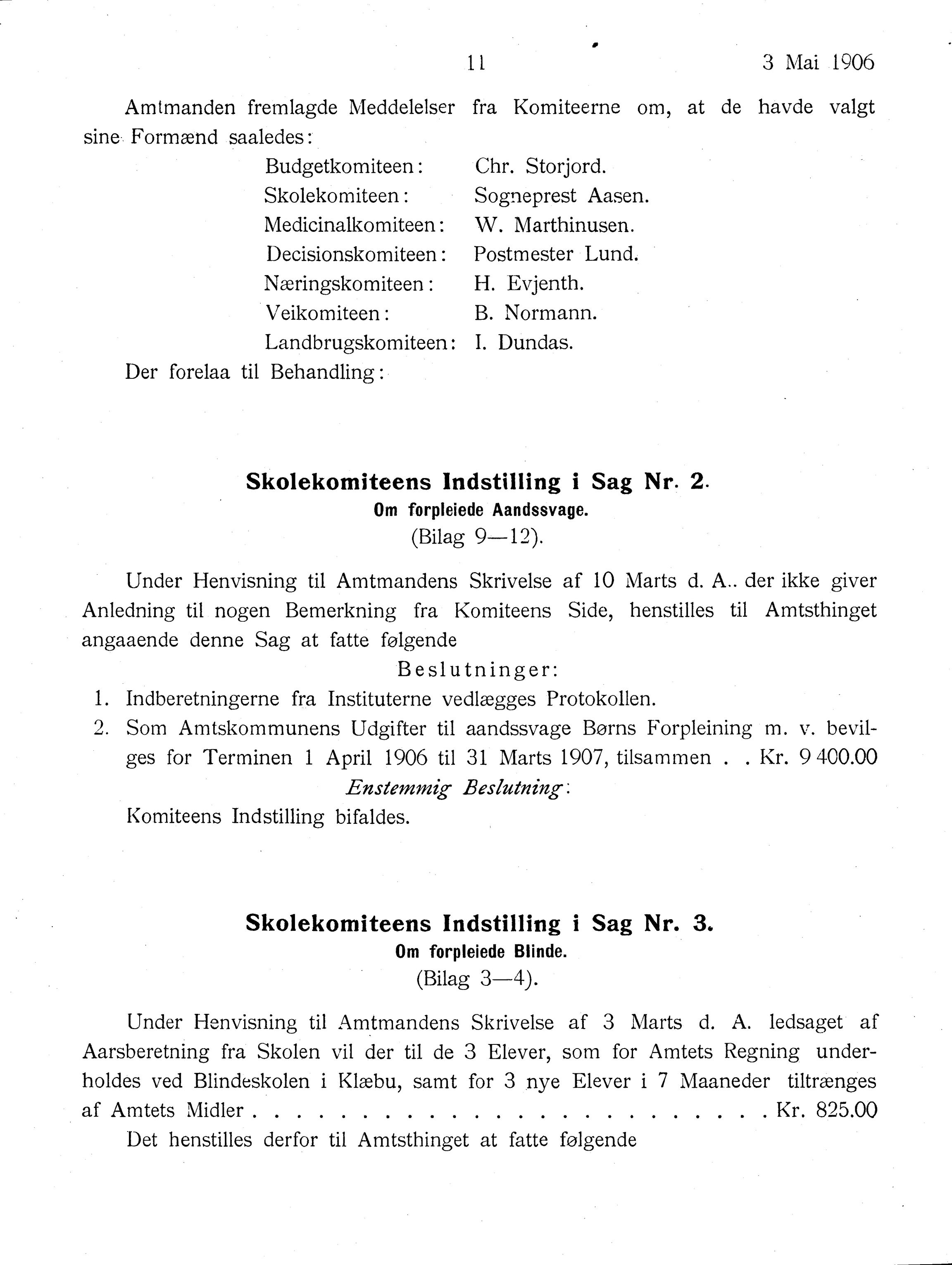 Nordland Fylkeskommune. Fylkestinget, AIN/NFK-17/176/A/Ac/L0029: Fylkestingsforhandlinger 1906, 1906