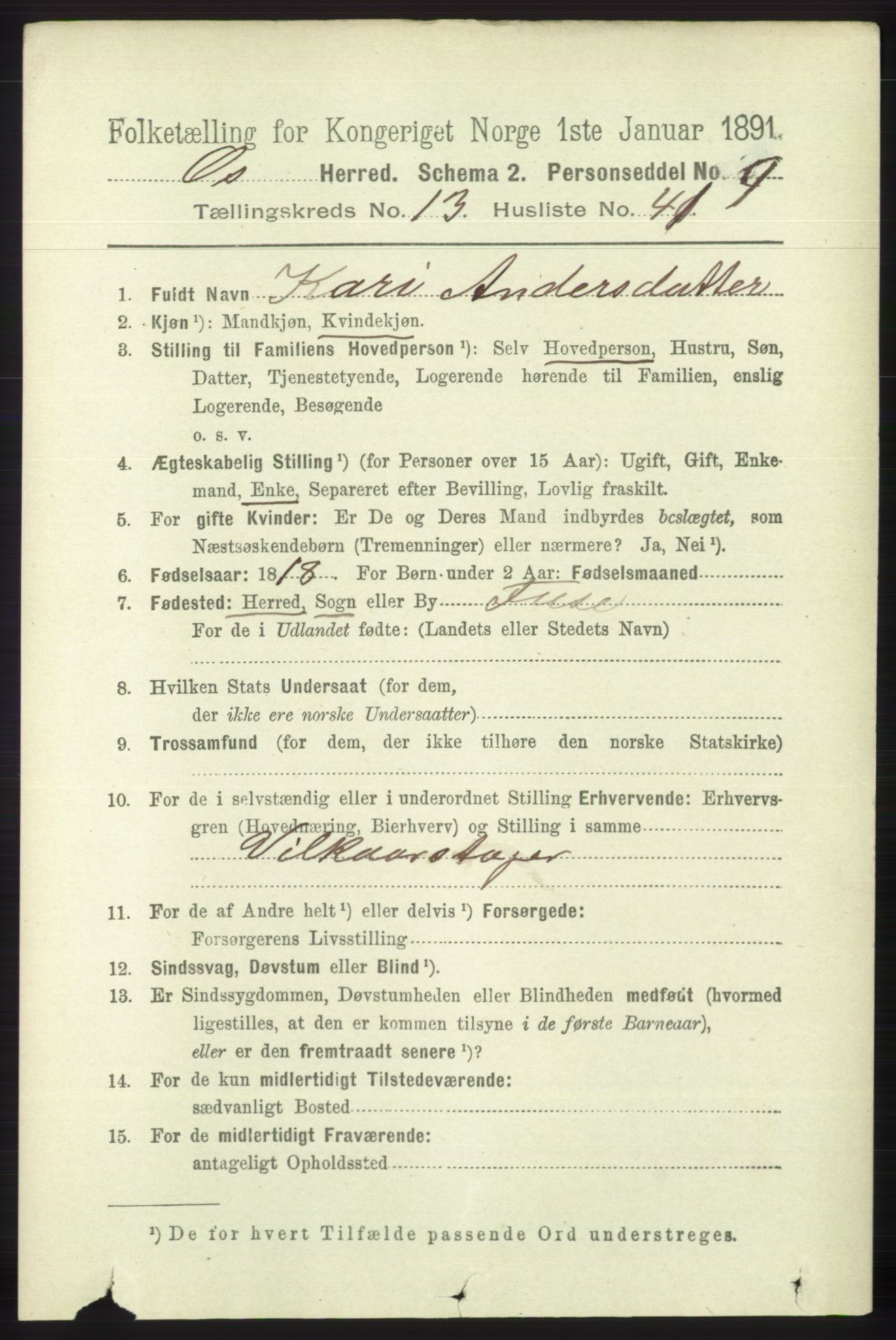 RA, 1891 census for 1243 Os, 1891, p. 3049