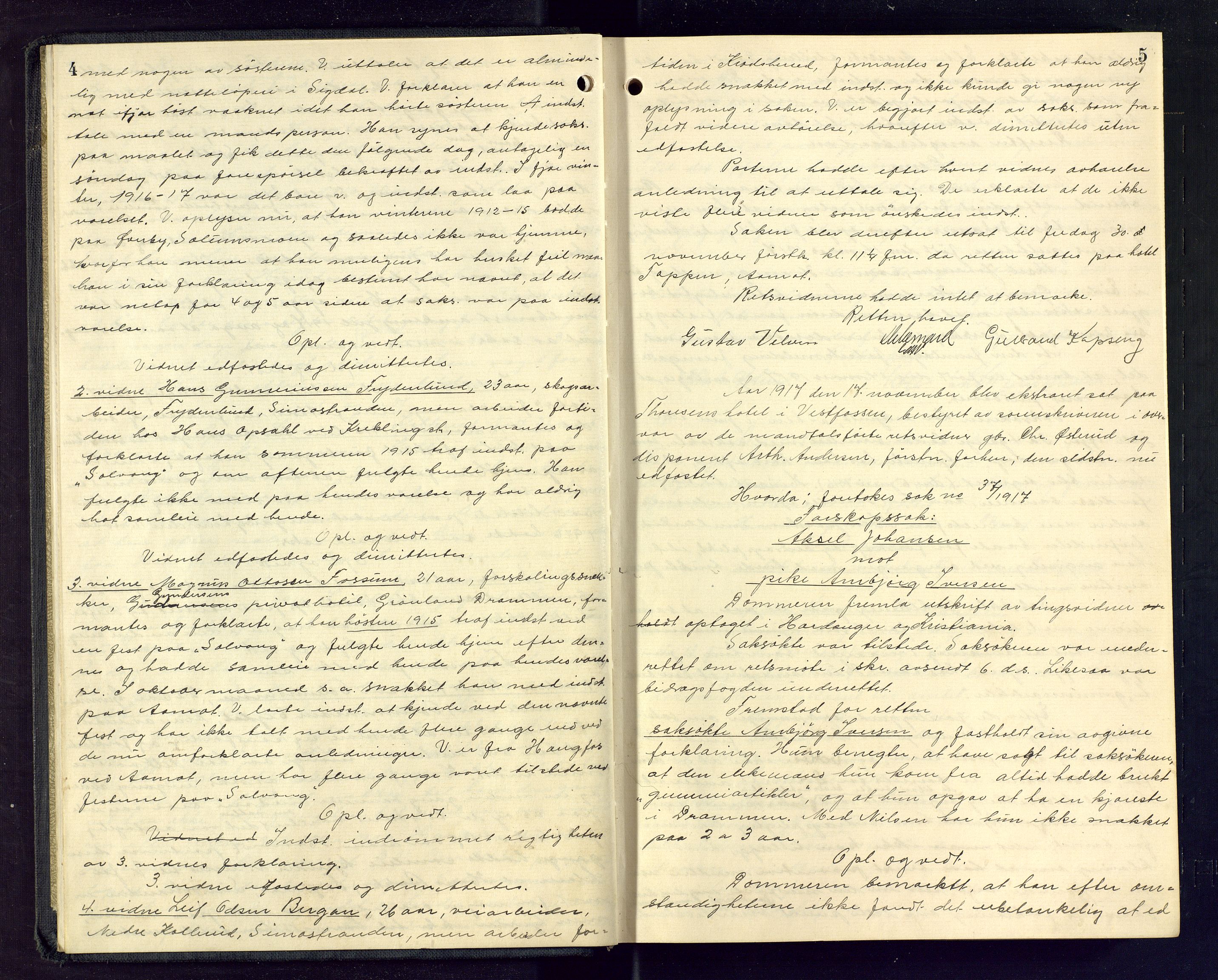 Eiker, Modum og Sigdal sorenskriveri, SAKO/A-123/F/Fc/L0039: Ekstrarettsprotokoll, 1917-1919, p. 4-5