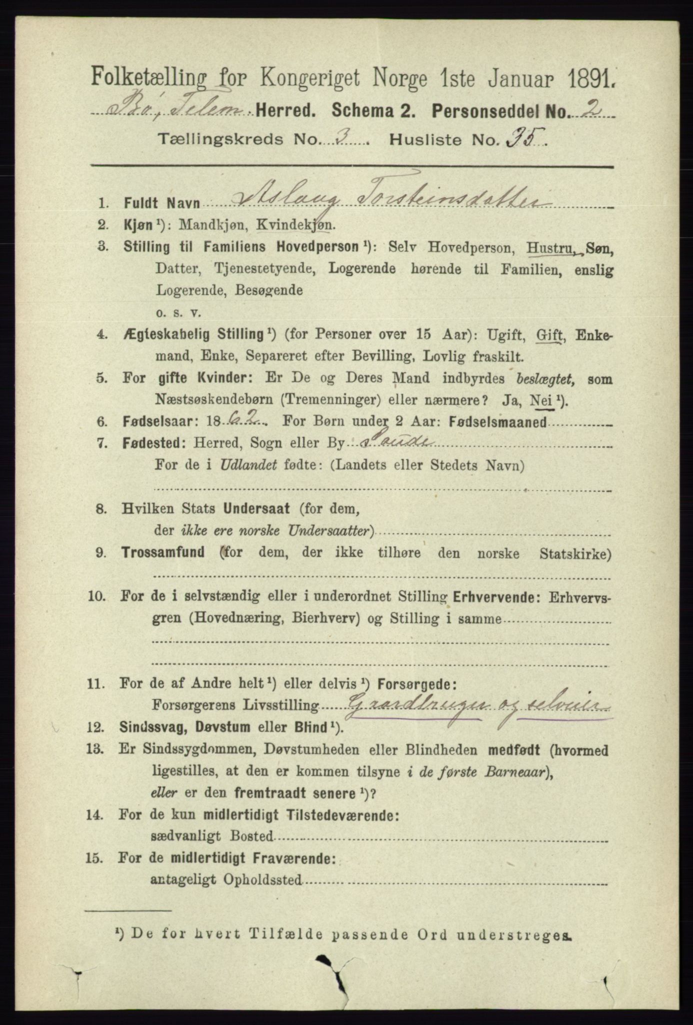 RA, 1891 census for 0821 Bø, 1891, p. 1193