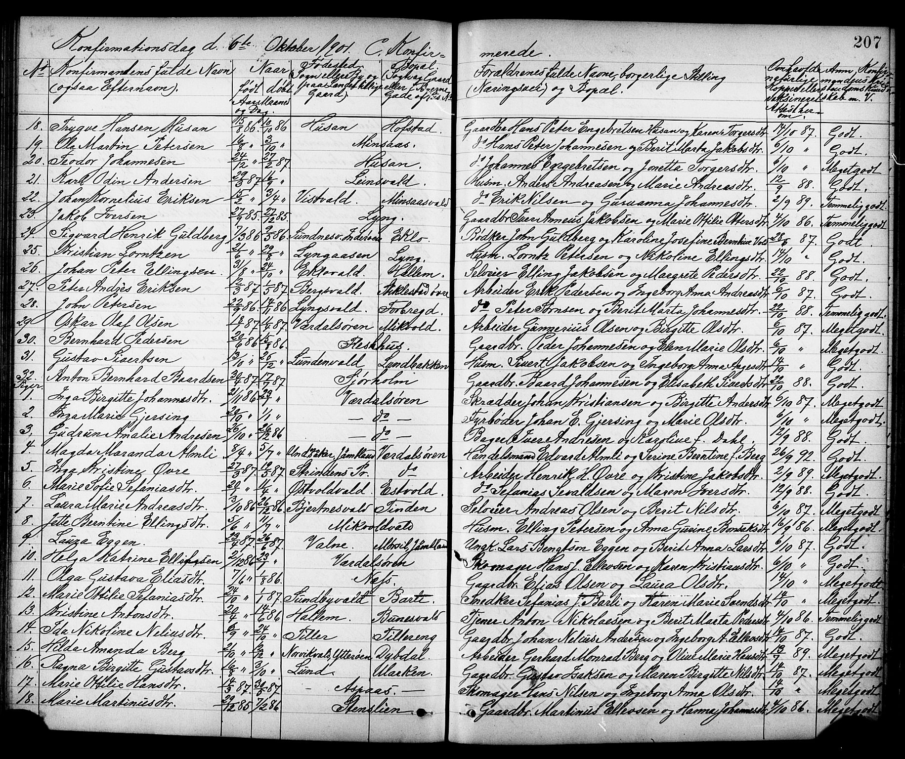 Ministerialprotokoller, klokkerbøker og fødselsregistre - Nord-Trøndelag, SAT/A-1458/723/L0257: Parish register (copy) no. 723C05, 1890-1907, p. 207