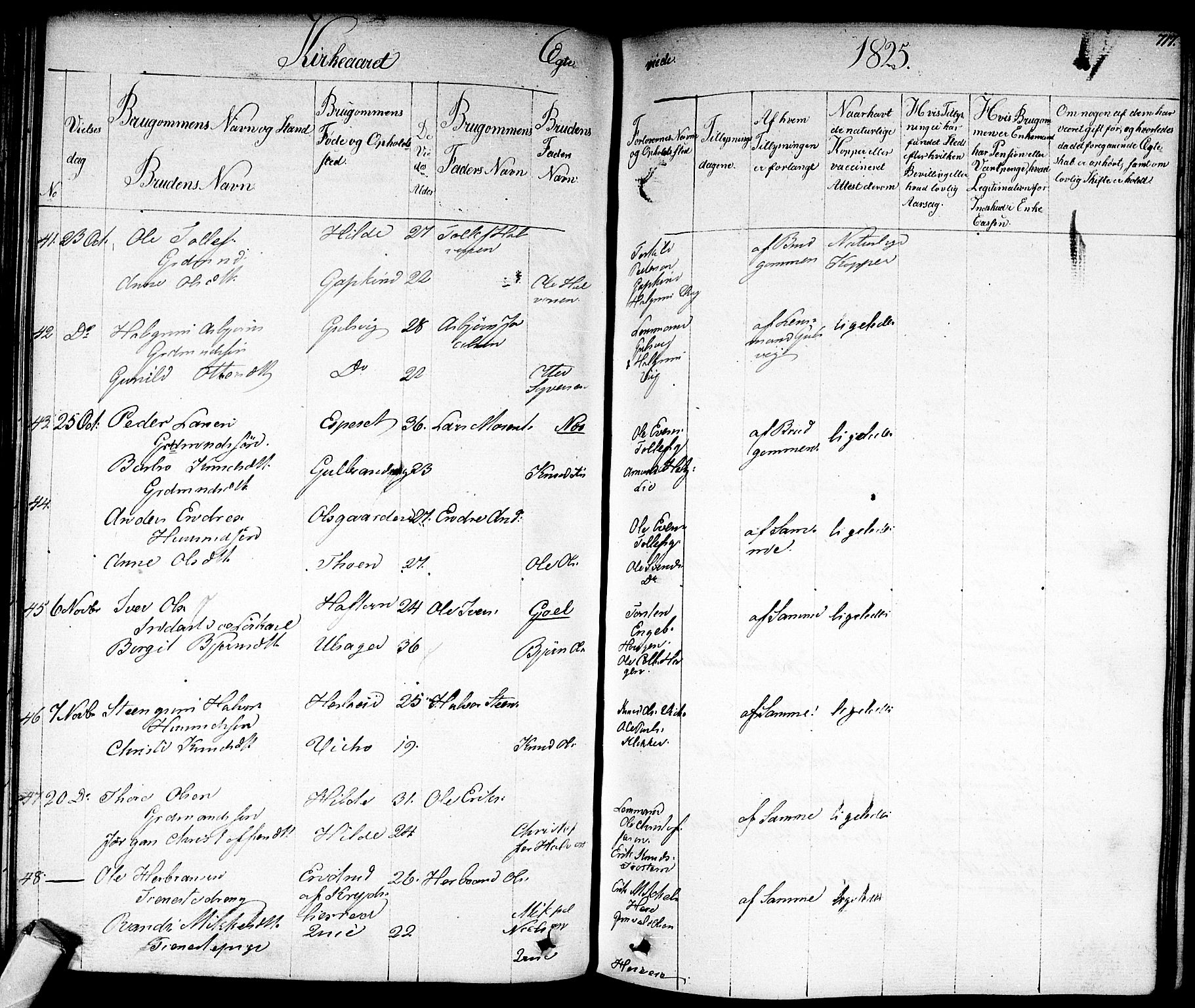 Nes kirkebøker, AV/SAKO-A-236/F/Fa/L0008: Parish register (official) no. 8, 1824-1834, p. 716-717