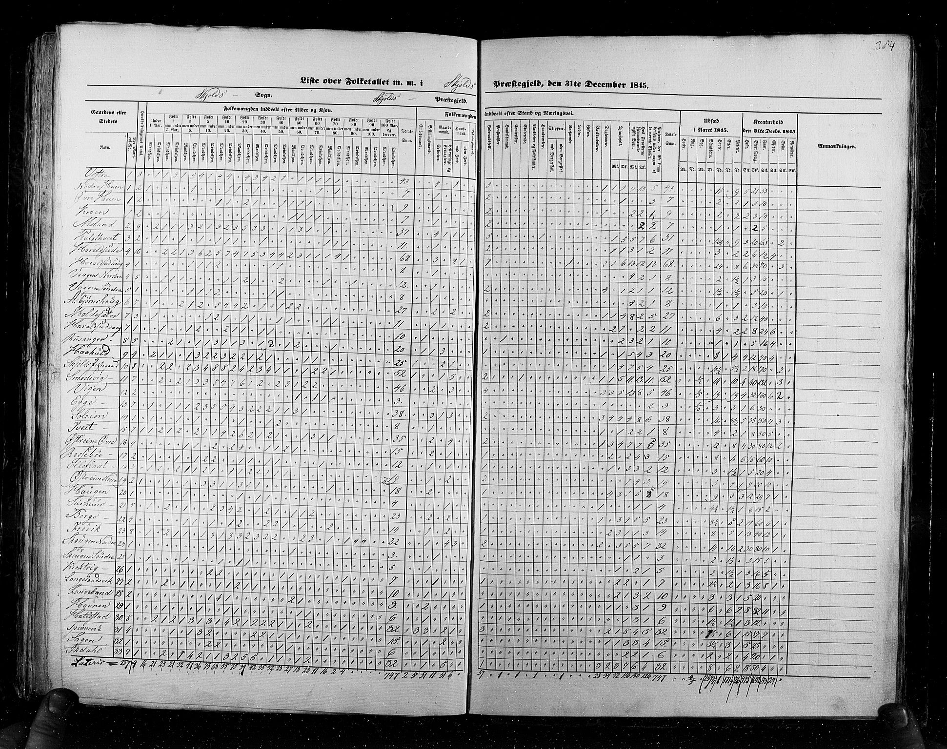 RA, Census 1845, vol. 6: Lister og Mandal amt og Stavanger amt, 1845, p. 384