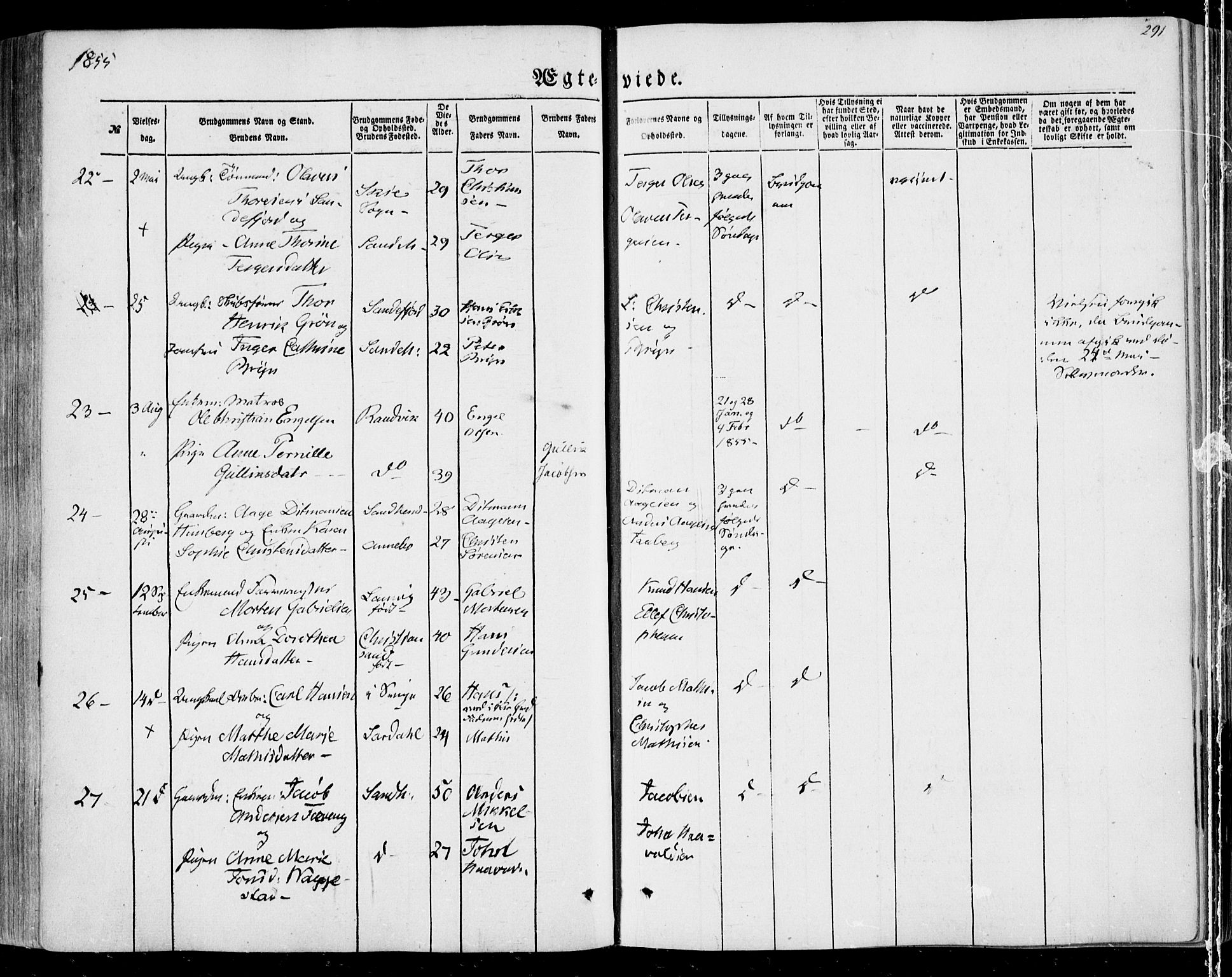 Sandar kirkebøker, SAKO/A-243/F/Fa/L0007: Parish register (official) no. 7, 1855-1861, p. 291