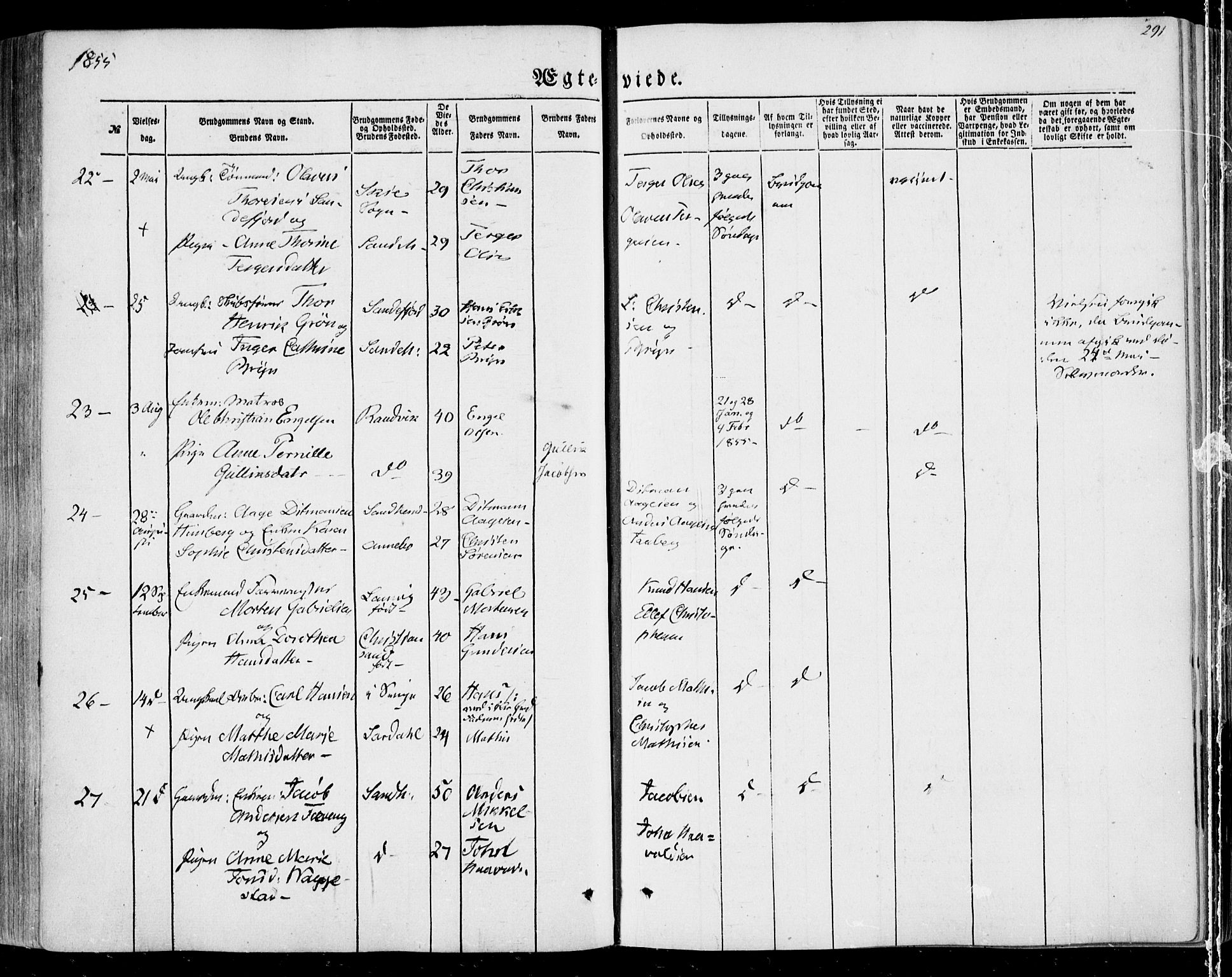 Sandar kirkebøker, AV/SAKO-A-243/F/Fa/L0007: Parish register (official) no. 7, 1855-1861, p. 291