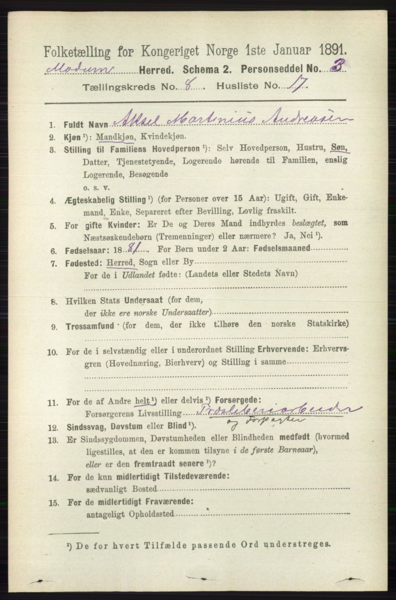 RA, 1891 census for 0623 Modum, 1891, p. 2968