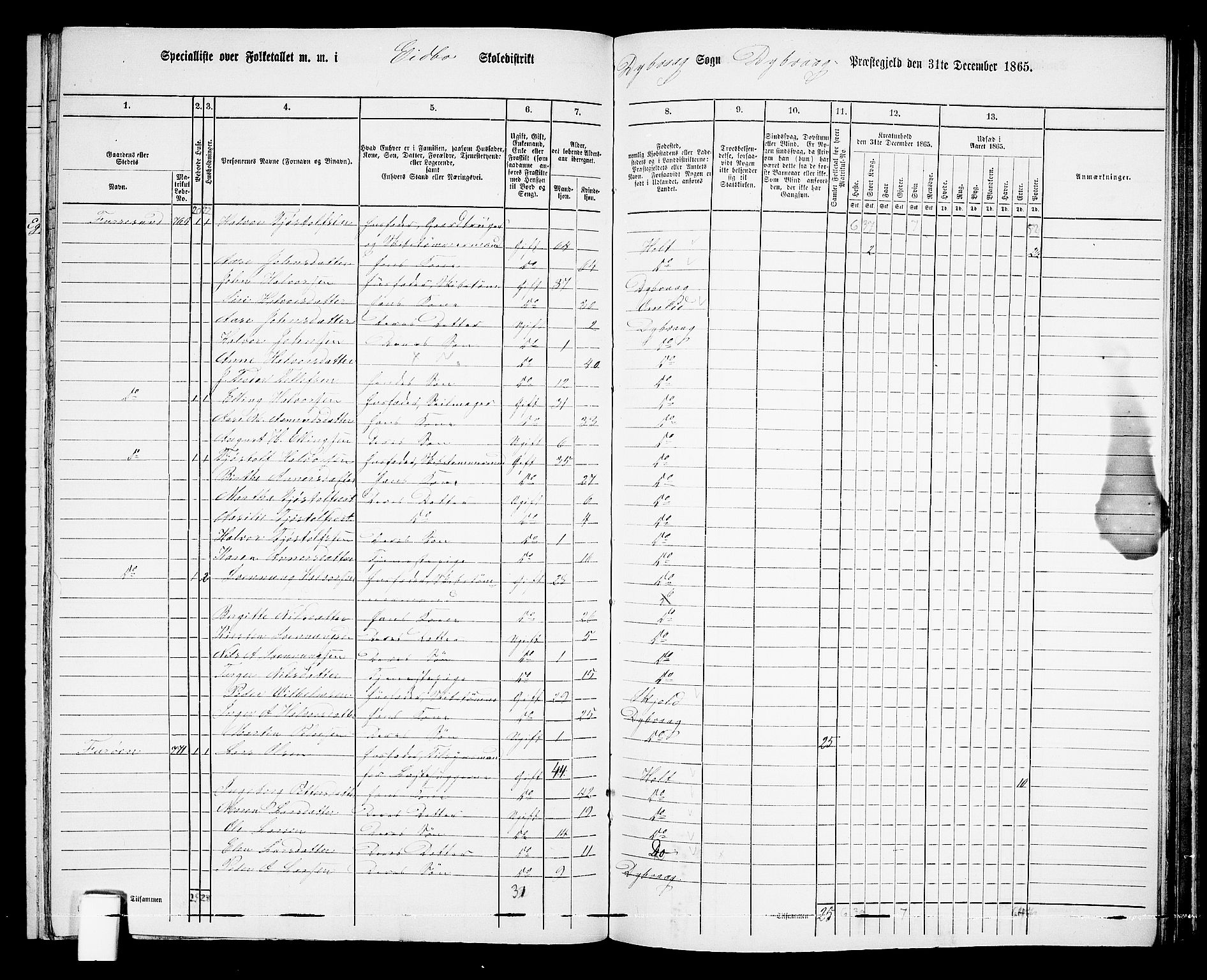 RA, 1865 census for Dypvåg, 1865, p. 113