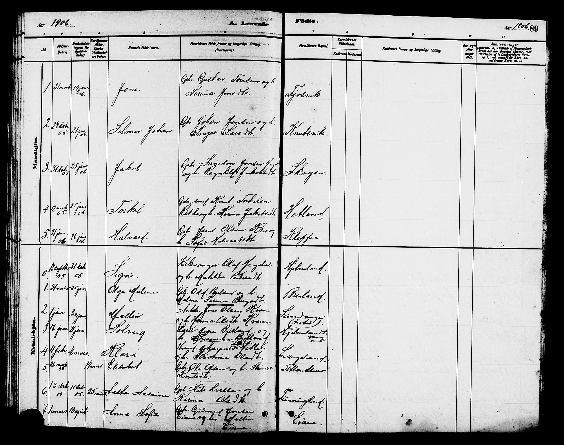 Hjelmeland sokneprestkontor, AV/SAST-A-101843/01/V/L0007: Parish register (copy) no. B 7, 1880-1909, p. 89