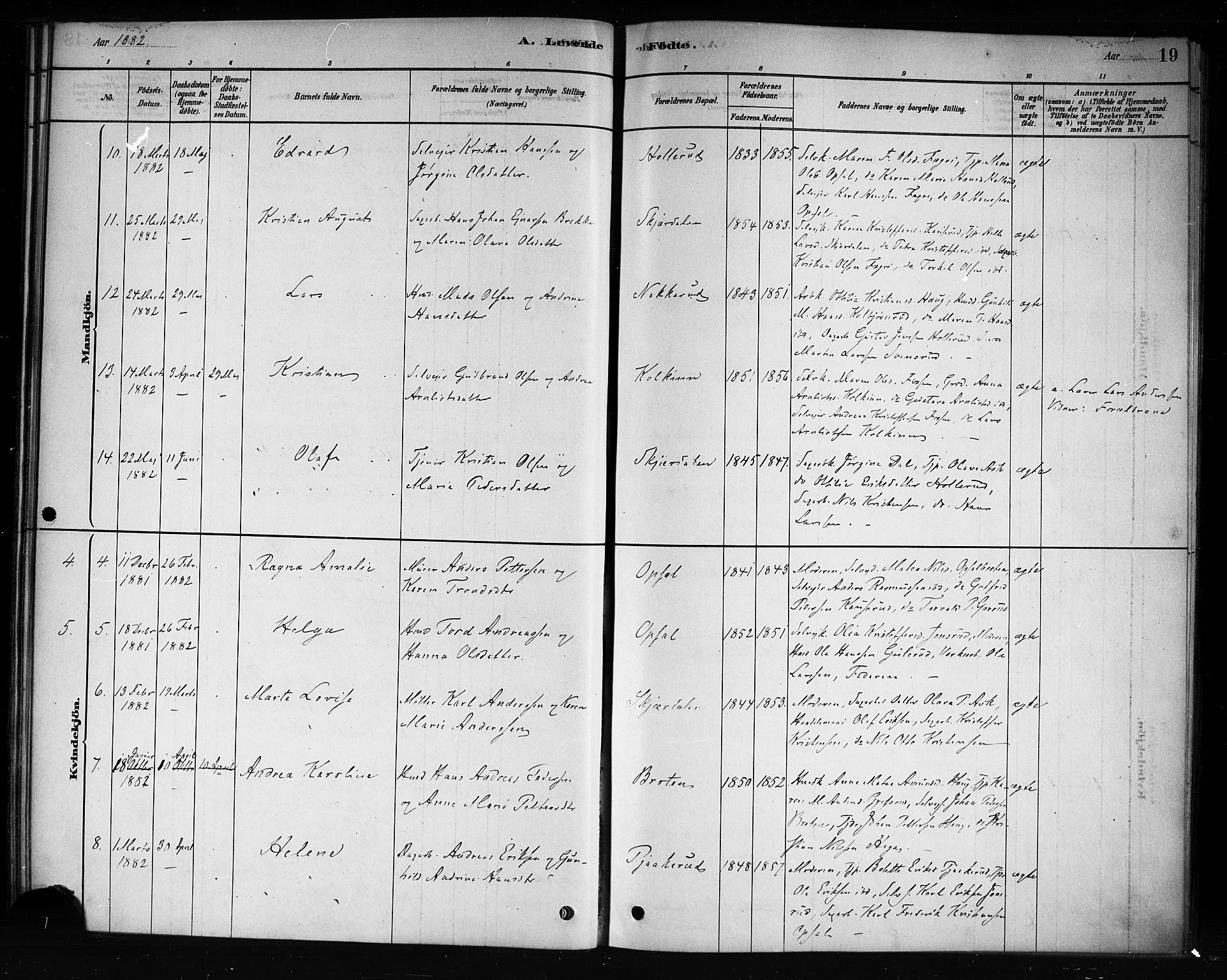 Hole kirkebøker, AV/SAKO-A-228/F/Fb/L0001: Parish register (official) no. II 1, 1878-1891, p. 19