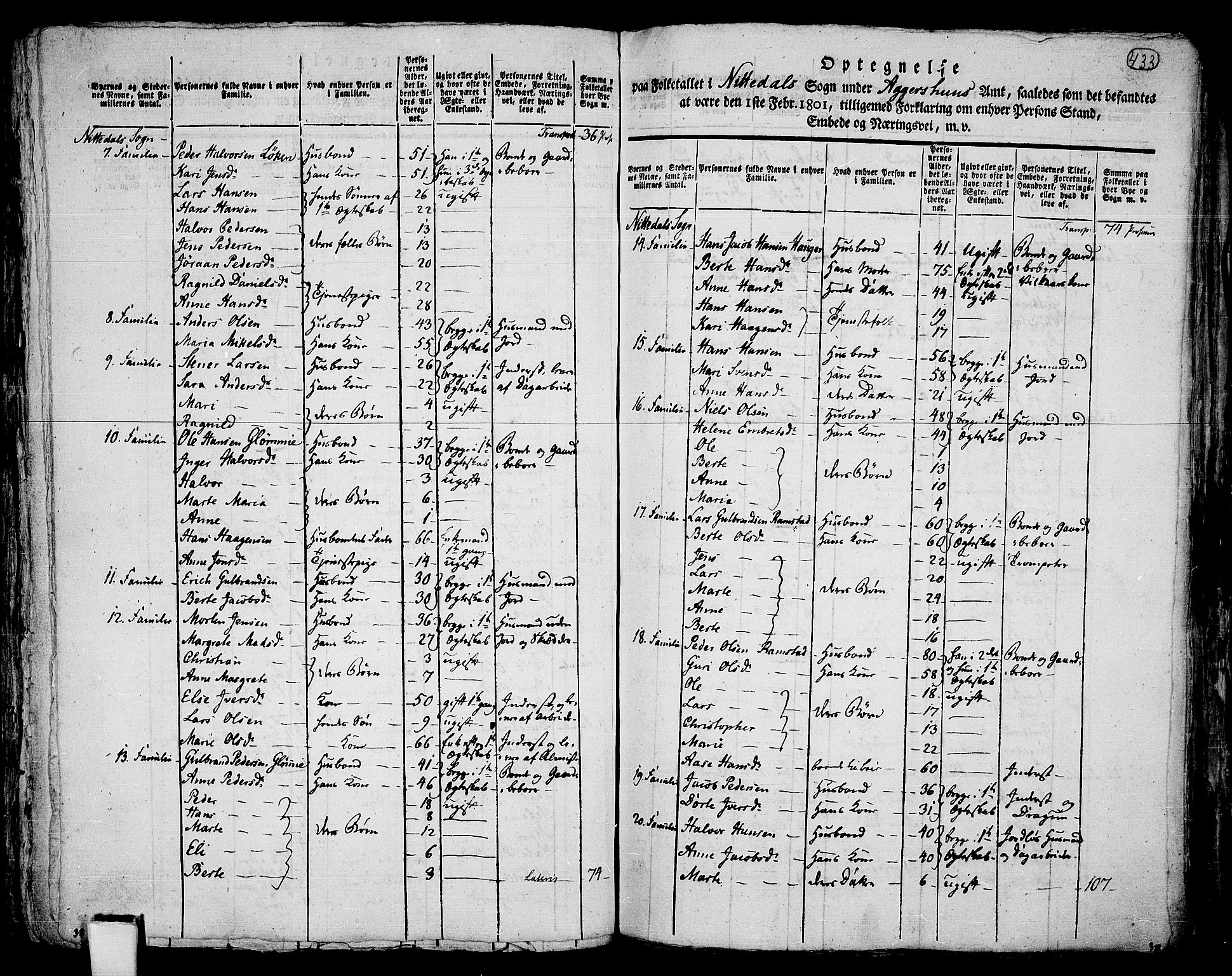 RA, 1801 census for 0233P Nittedal, 1801, p. 432b-433a