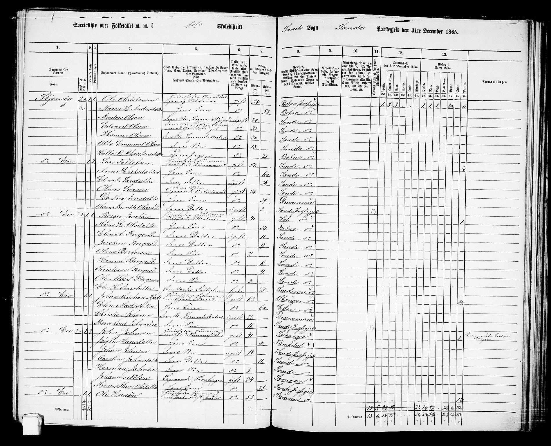 RA, 1865 census for Sande, 1865, p. 11