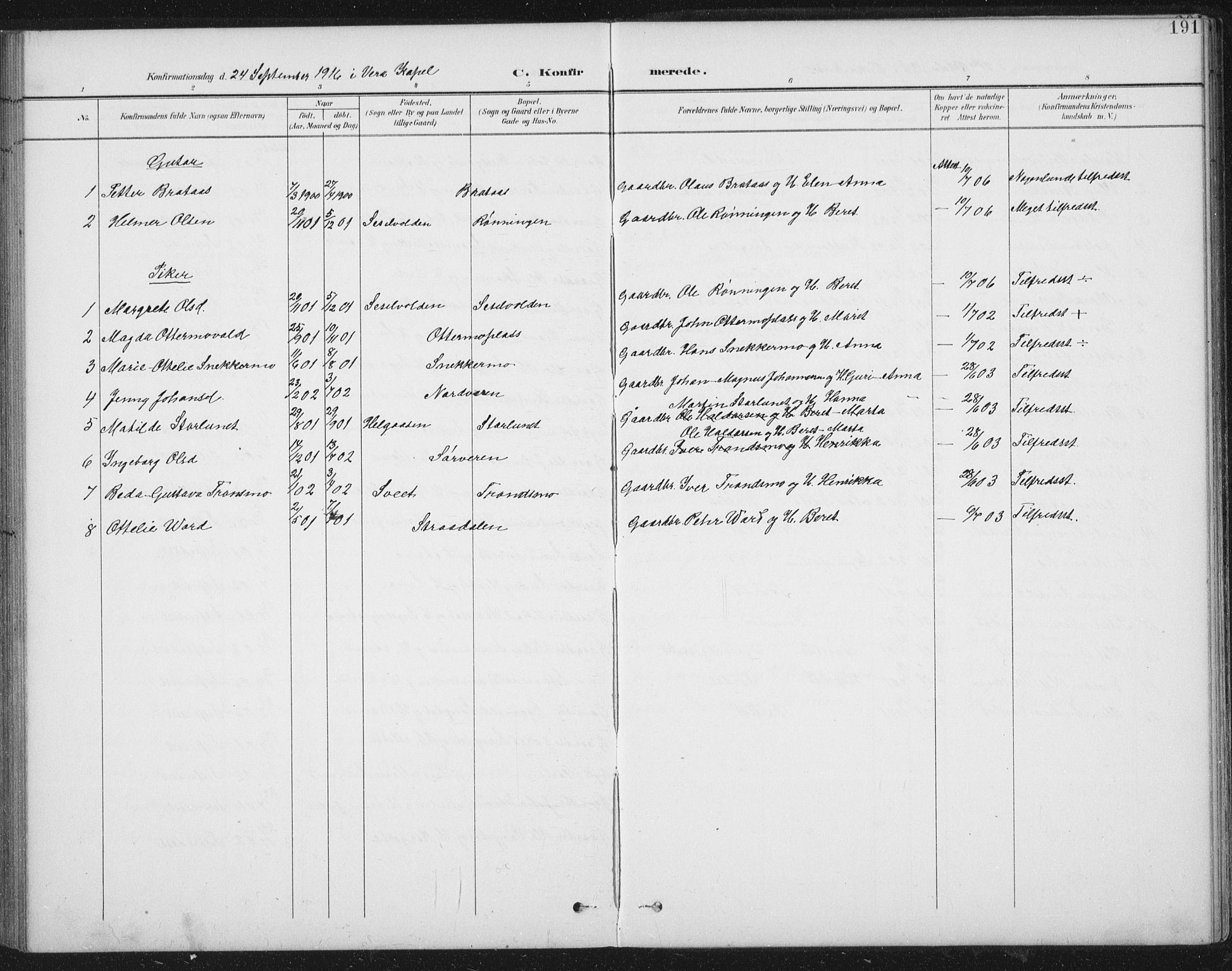 Ministerialprotokoller, klokkerbøker og fødselsregistre - Nord-Trøndelag, AV/SAT-A-1458/724/L0269: Parish register (copy) no. 724C05, 1899-1920, p. 191